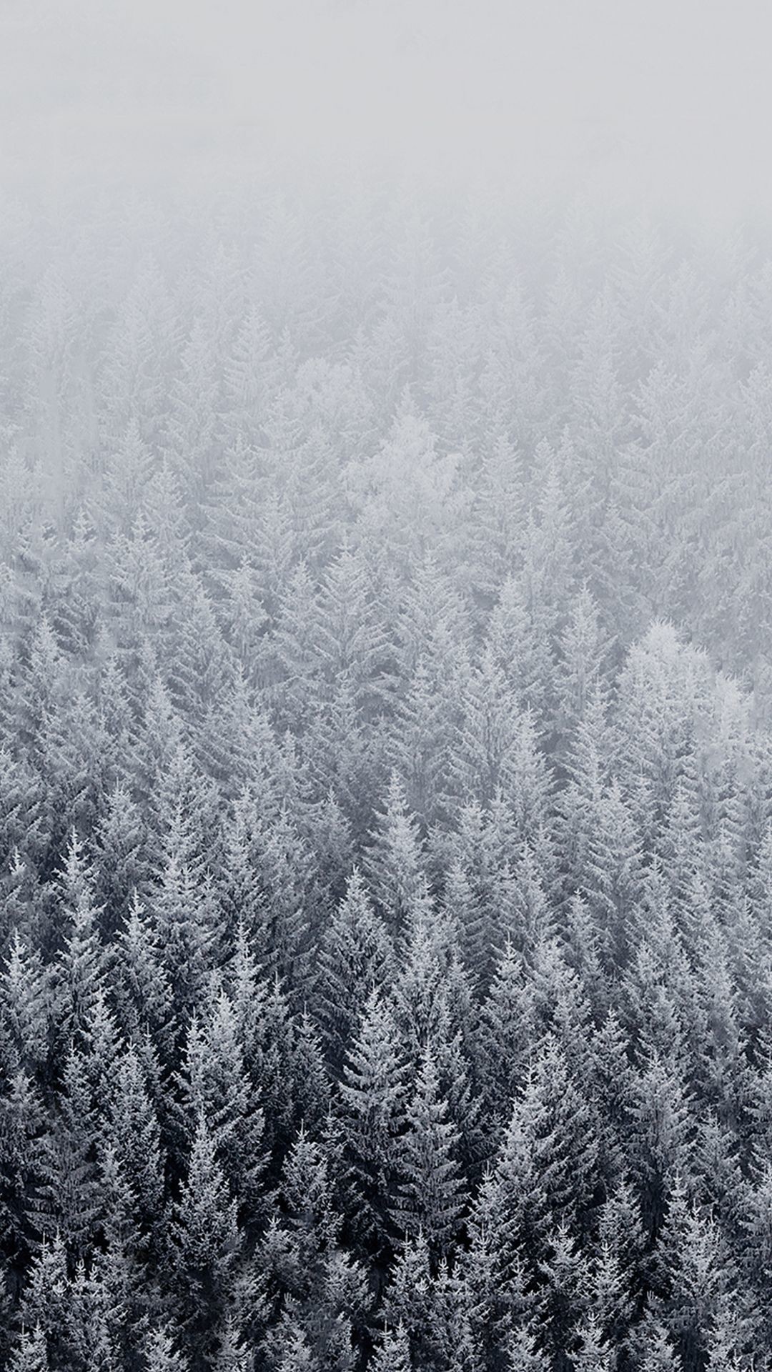 1080x1920 HD Winter Background for Iphone.