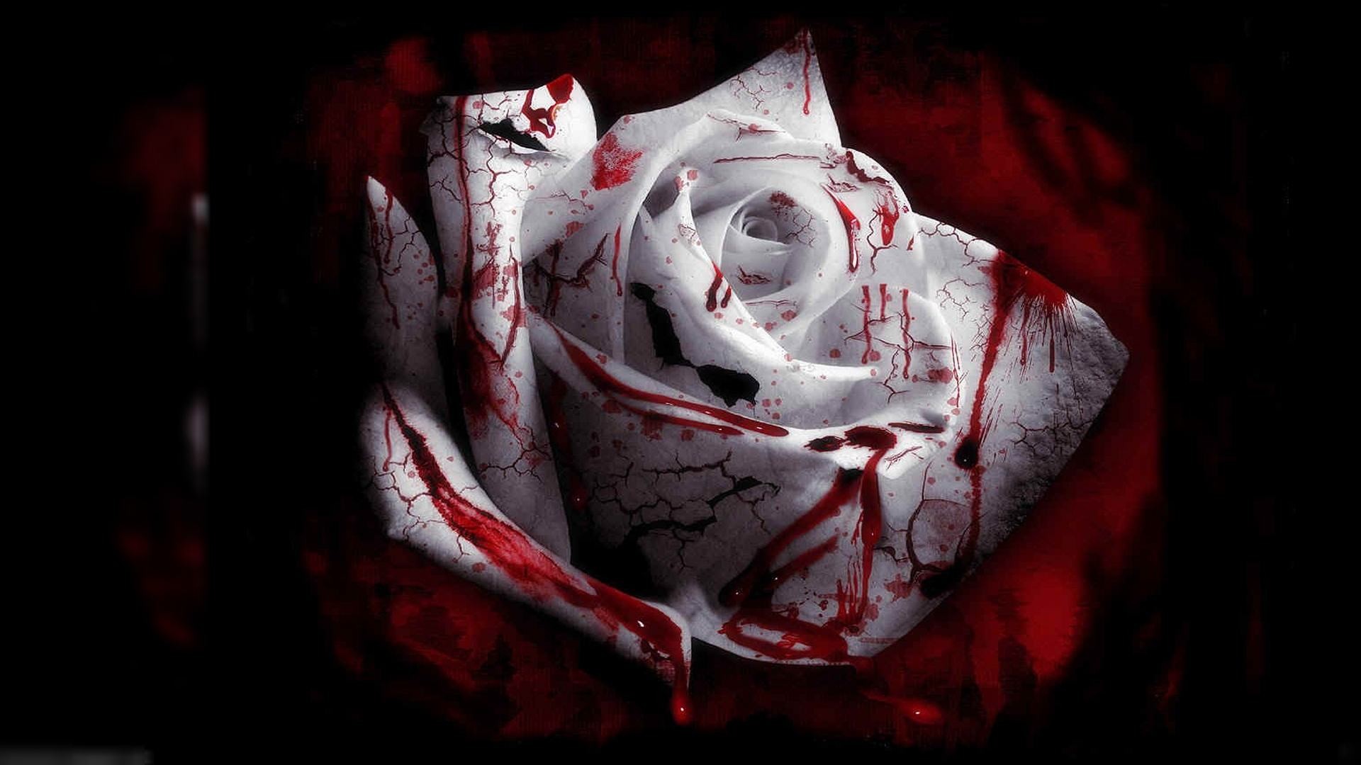 1920x1080 bloody-white-rose-scary-images-hd-wallpaper