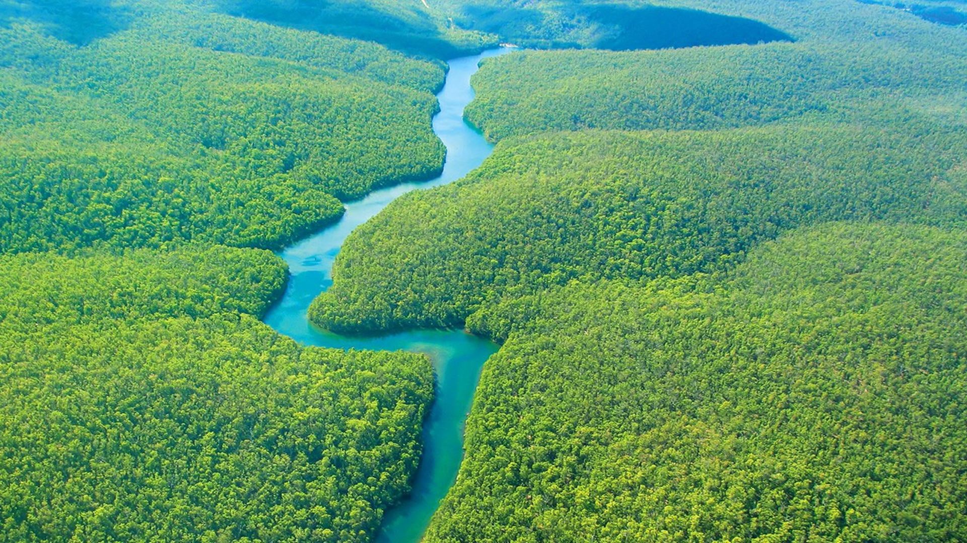 Amazon Rainforest Wallpaper 69 Images 