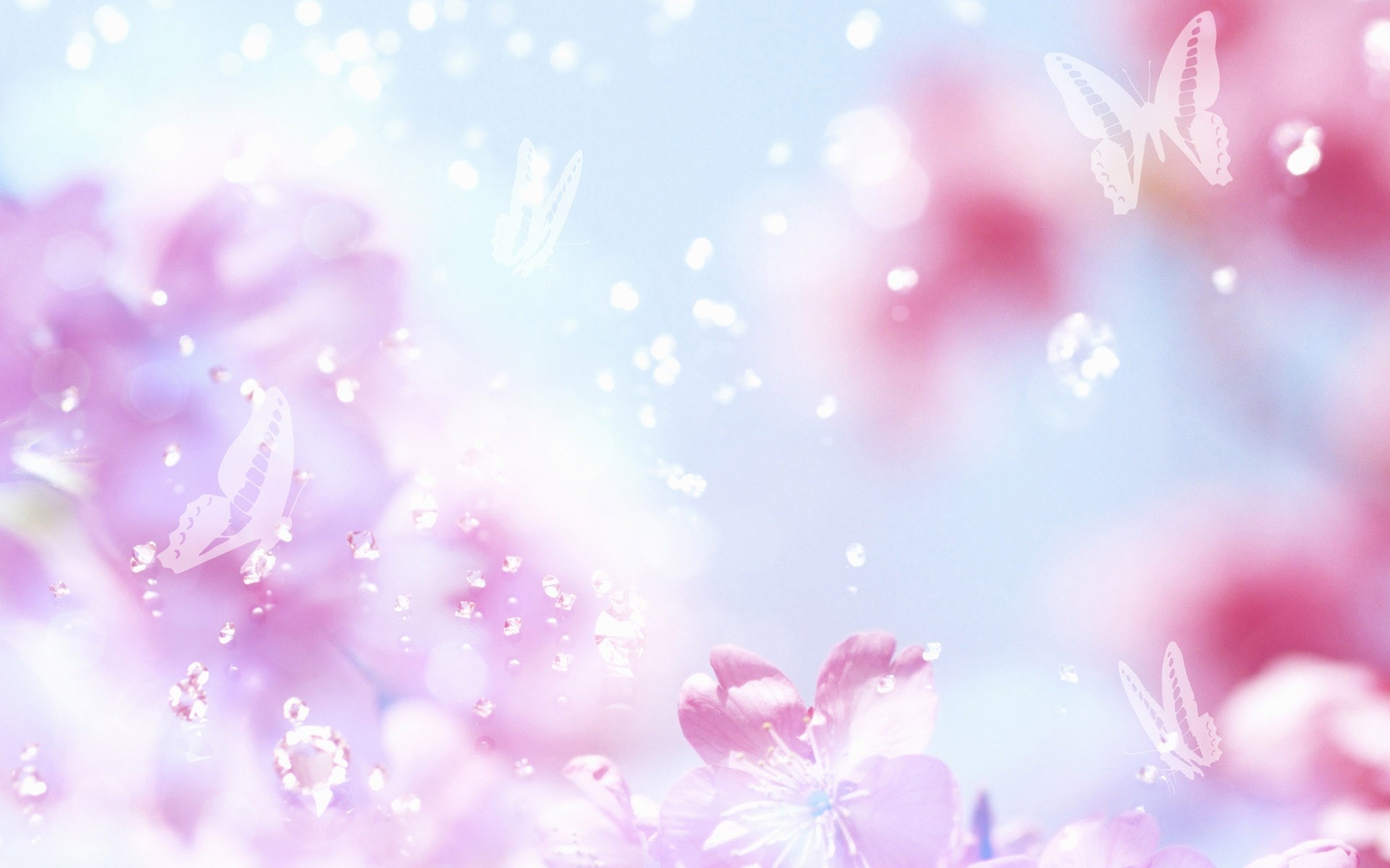 1920x1200 Pretty Flower Desktop Backgrounds
