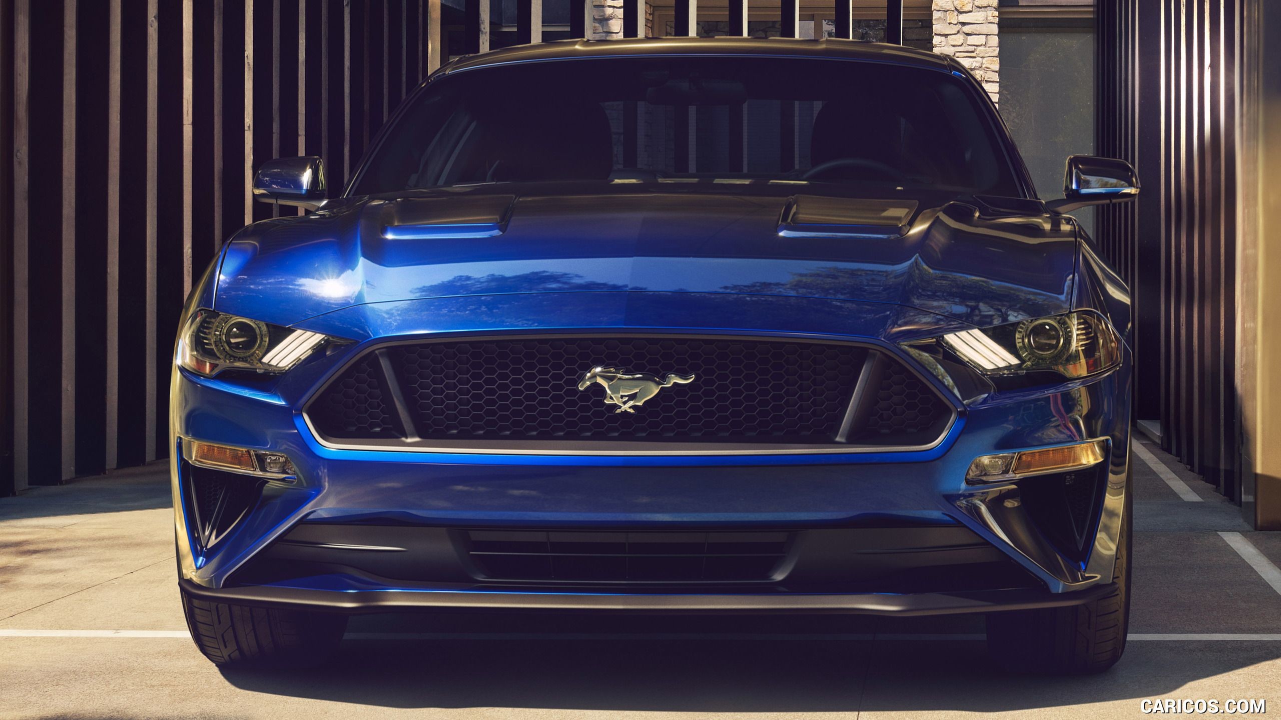 2560x1440 2018 Ford Mustang Wallpaper