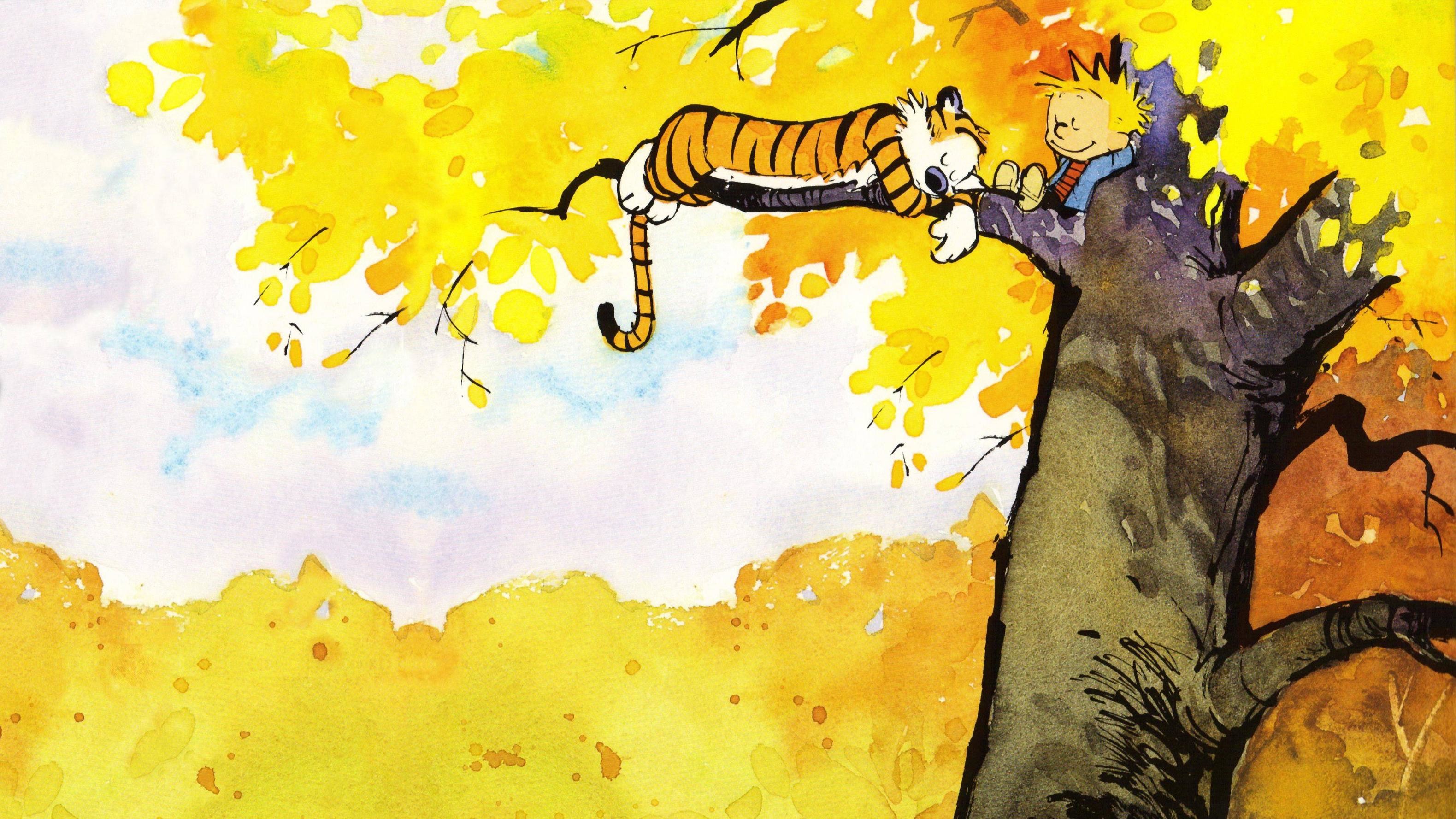 Calvin And Hobbes Stars Wallpaper (69+ images)