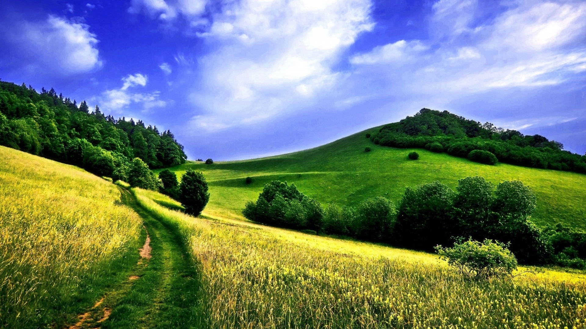 1920x1080 Preview wallpaper road, field, track, slope, hill, meadow, green,