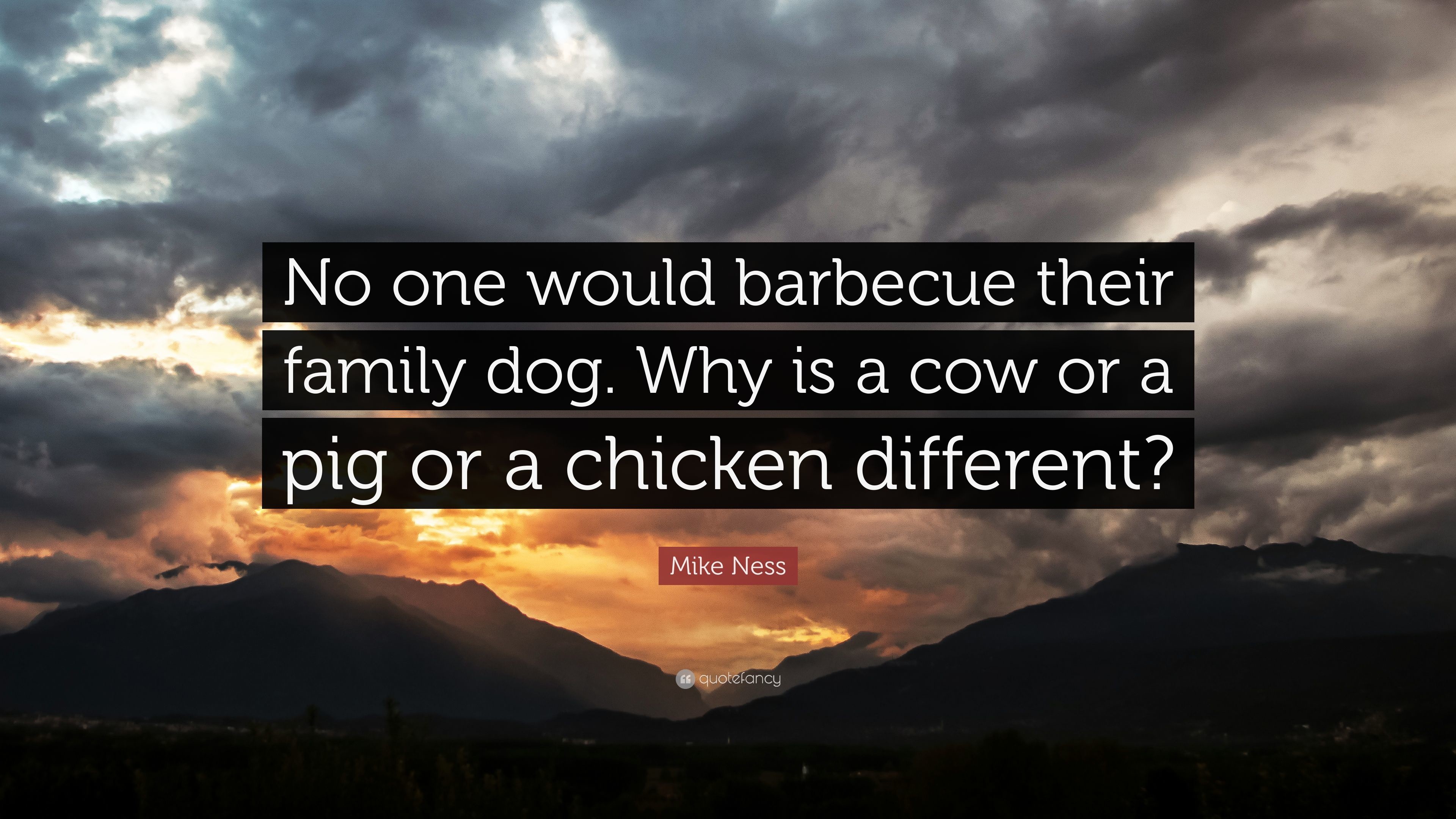 3840x2160 Mike Ness Quote: “No one would barbecue their family dog. Why is a
