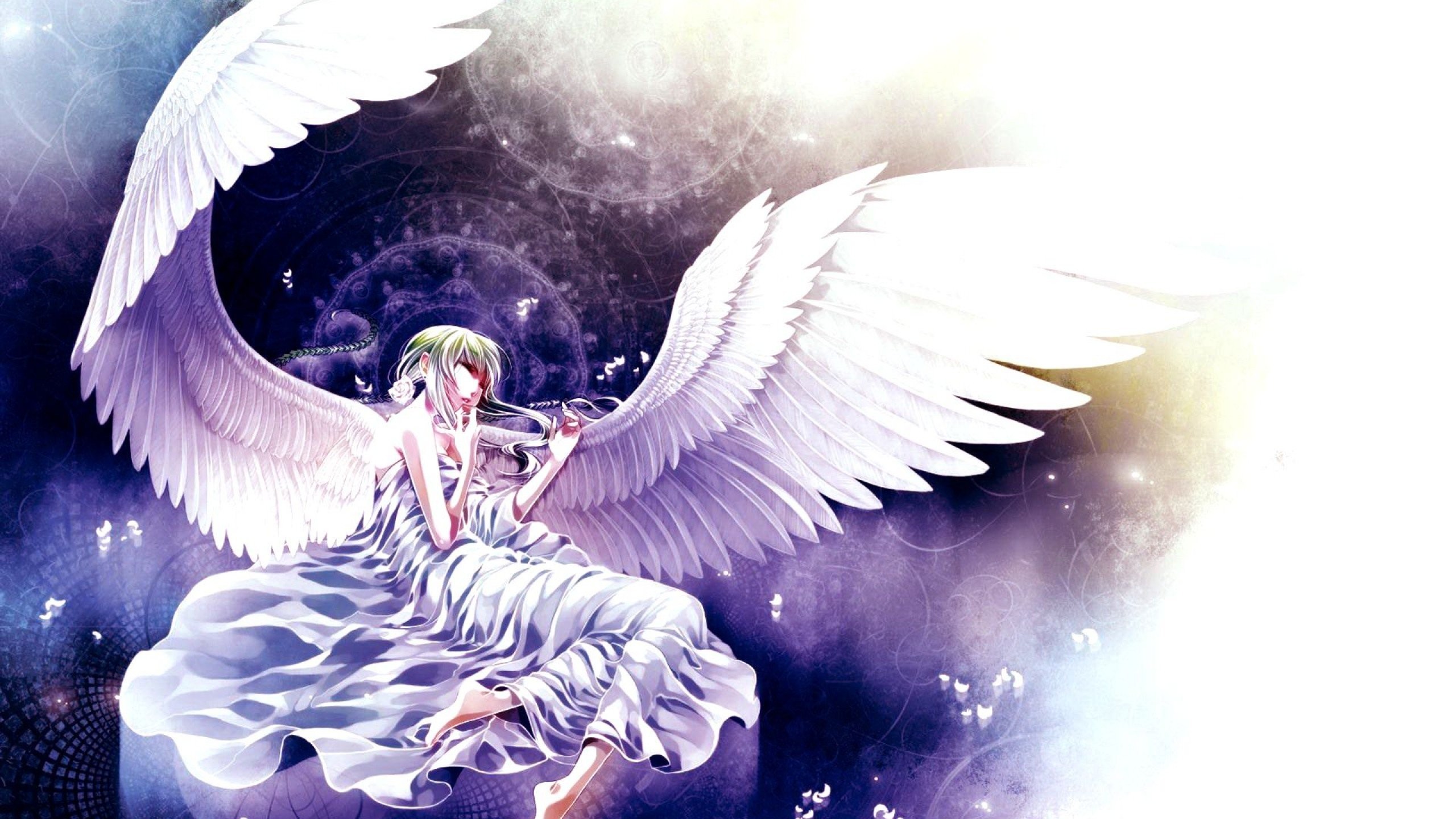 2560x1440 Anime Girl Angel 877022