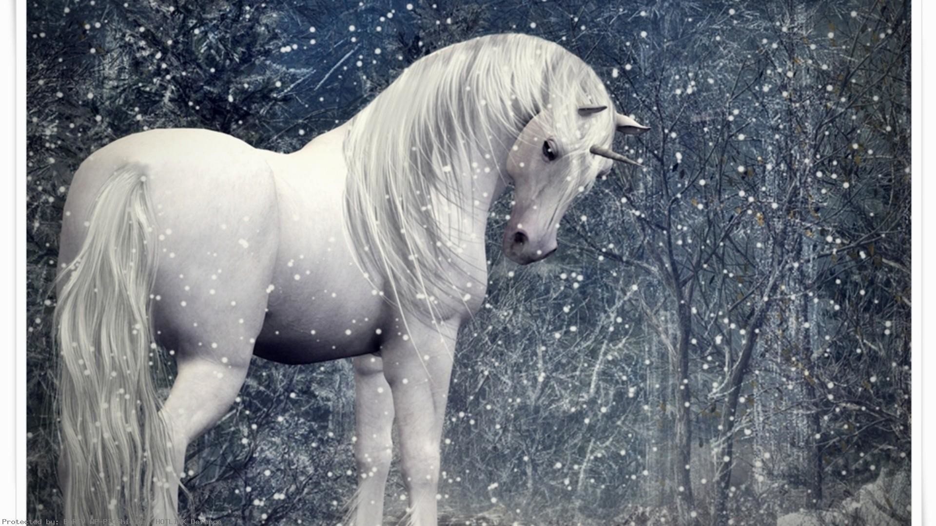 1920x1080 Unicorn-in-a-snowy-forest--snowy-forest-