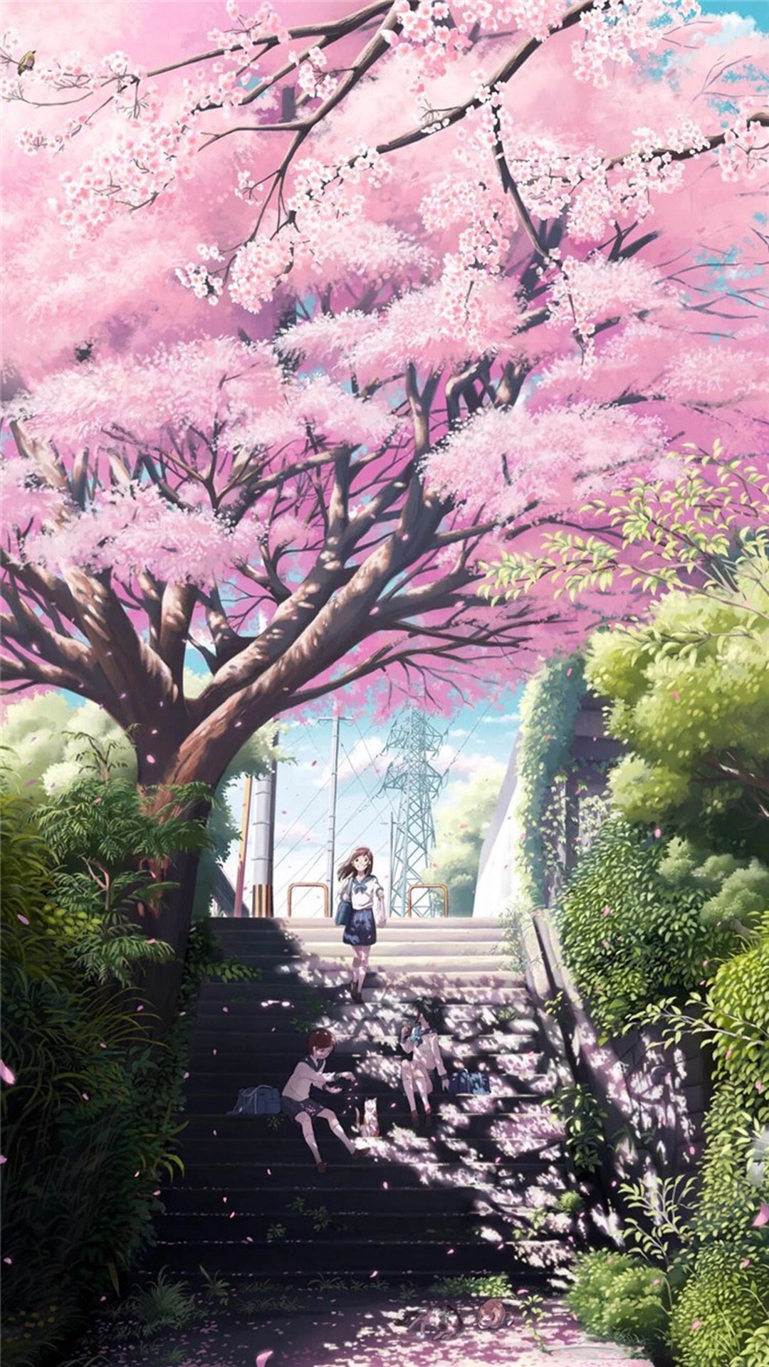 1080x1920 Anime Dreamy Girl Step #iPhone #6 #plus #wallpaper. Anime ArtCherry BlossomsArt  ...