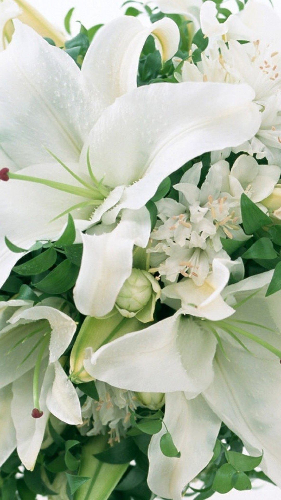 1080x1920  Wallpaper lilies, flowers, bouquet, white, green