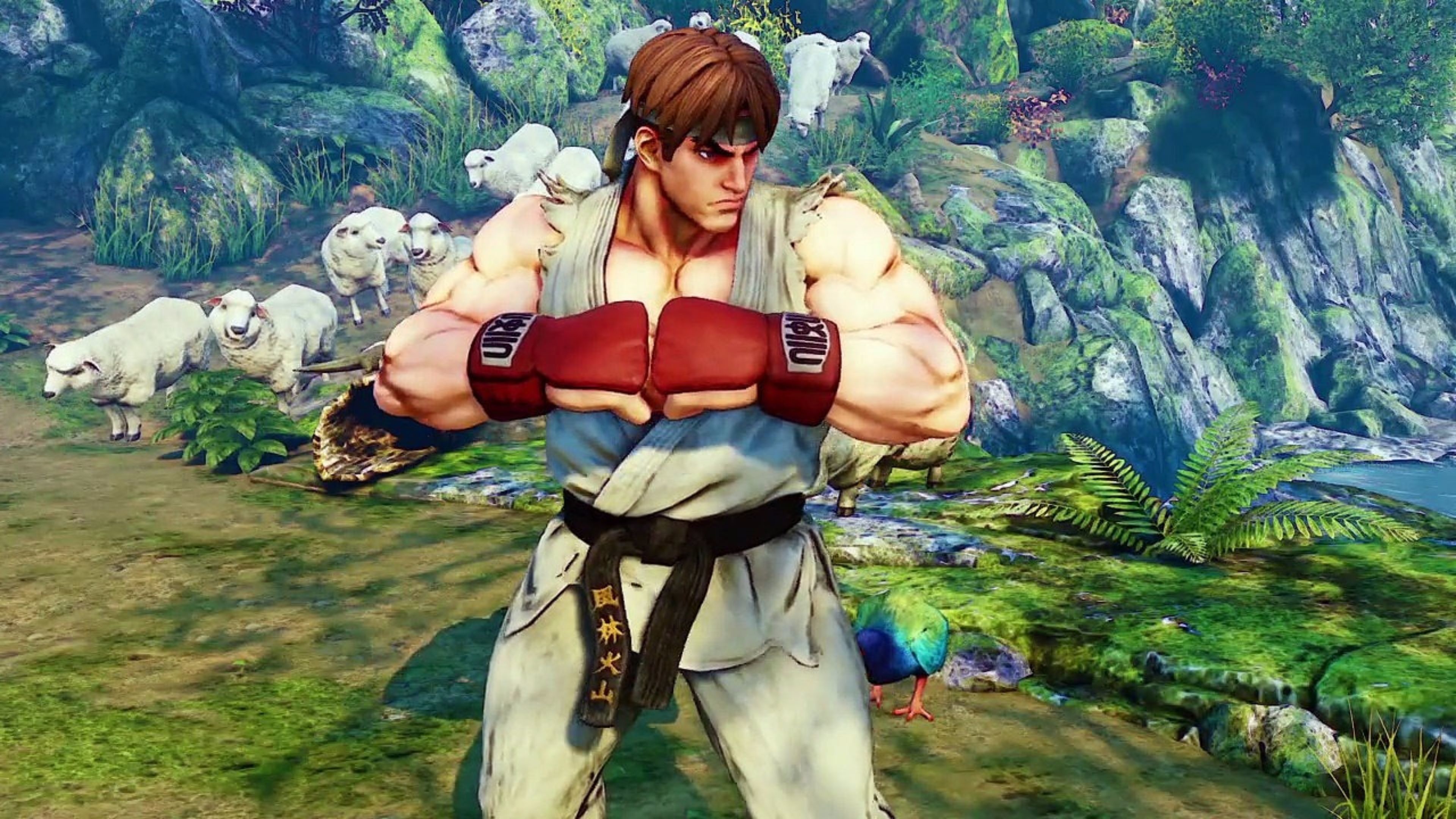 3840x2160 Ryu Character 4K Street Fighter V Wallpapers