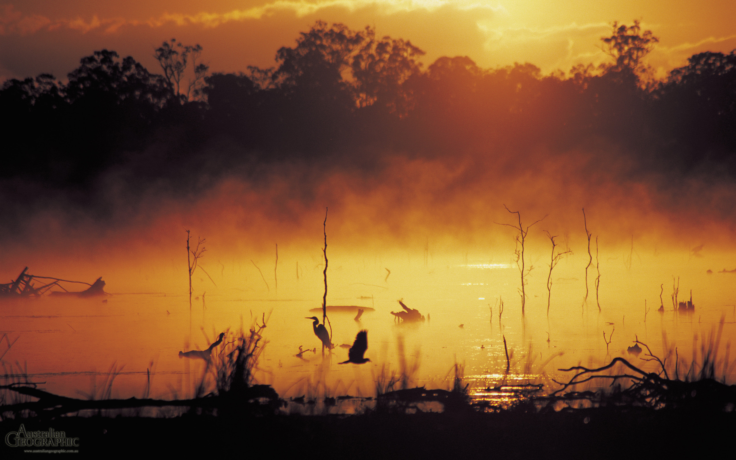 2560x1600 Wallpapers. Images of Australia: Wetlands, Mareeba, Queensland