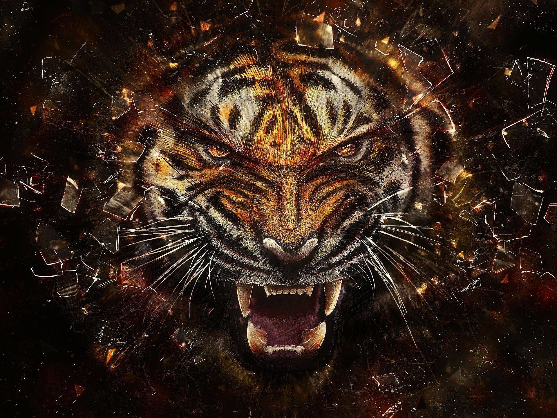 1920x1440 981 Tiger Wallpapers | Tiger Backgrounds