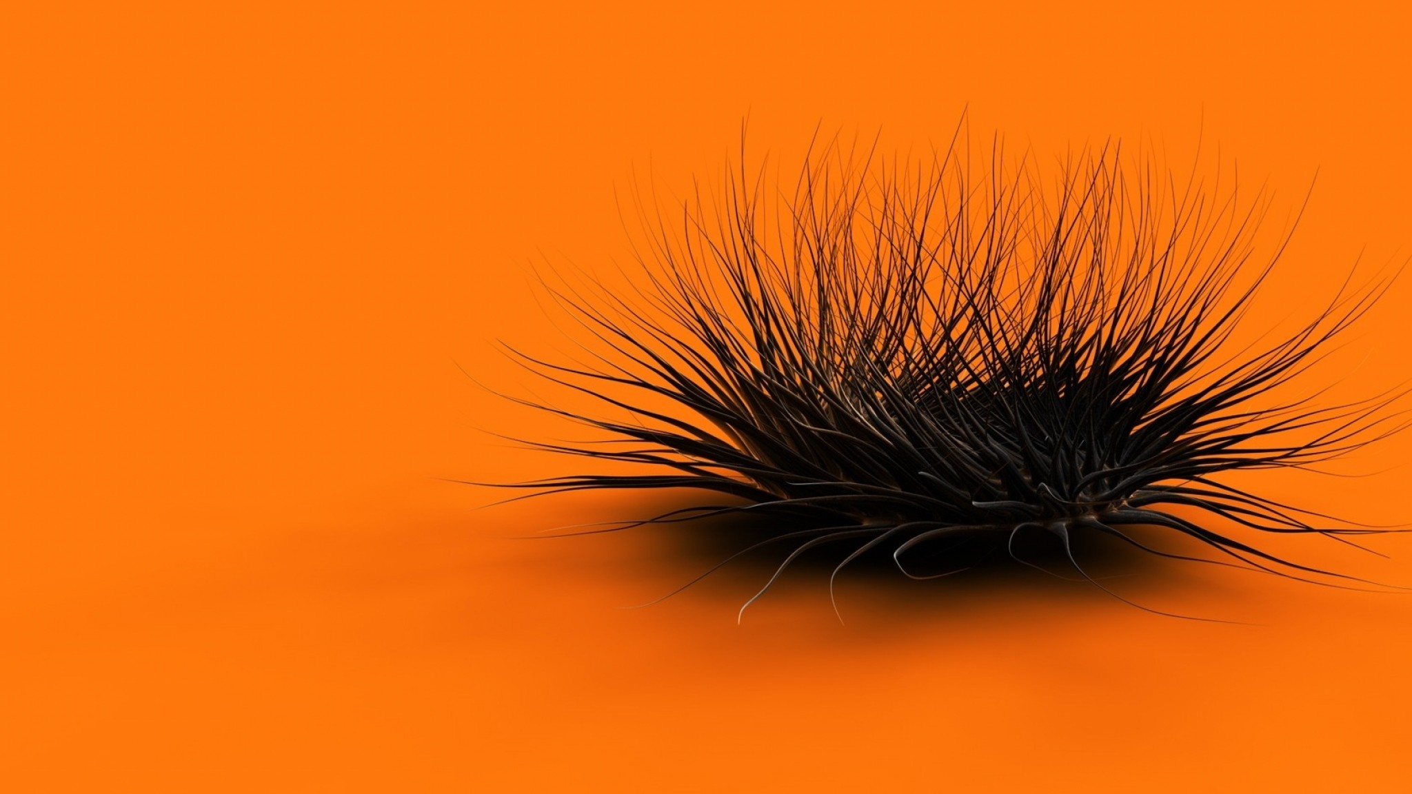 2048x1152 Preview wallpaper orange, black, feathers, form 