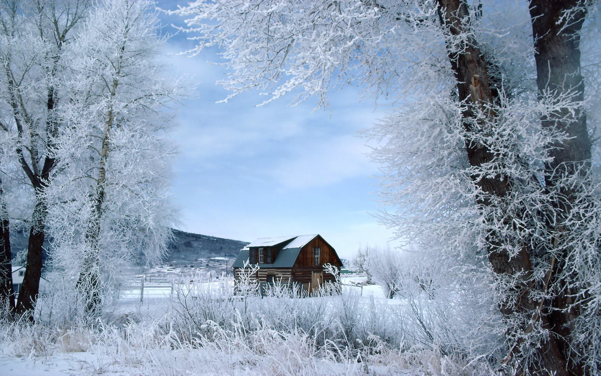 1920x1200 Colorado Winter Landscape