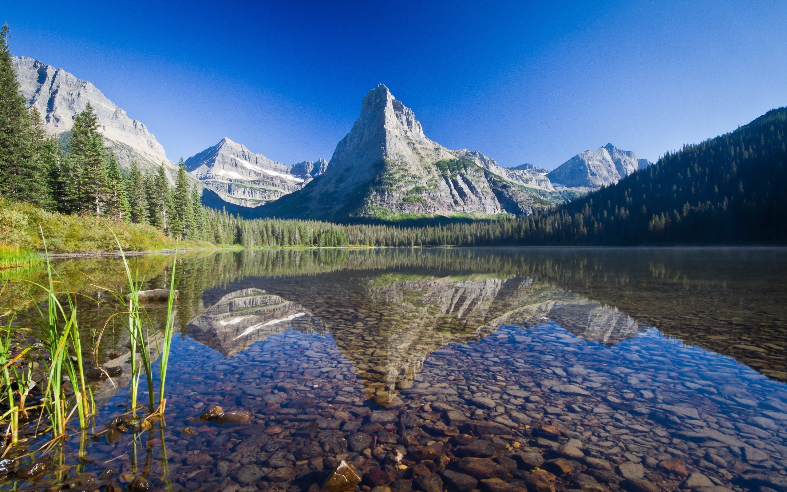 2560x1600 nature, Landscape, Mountain, Glacier National Park, Montana, USA, Lake,  Trees, Forest, Snow, Stones, Grass, Reflection Wallpapers HD / Desktop and  Mobile ...