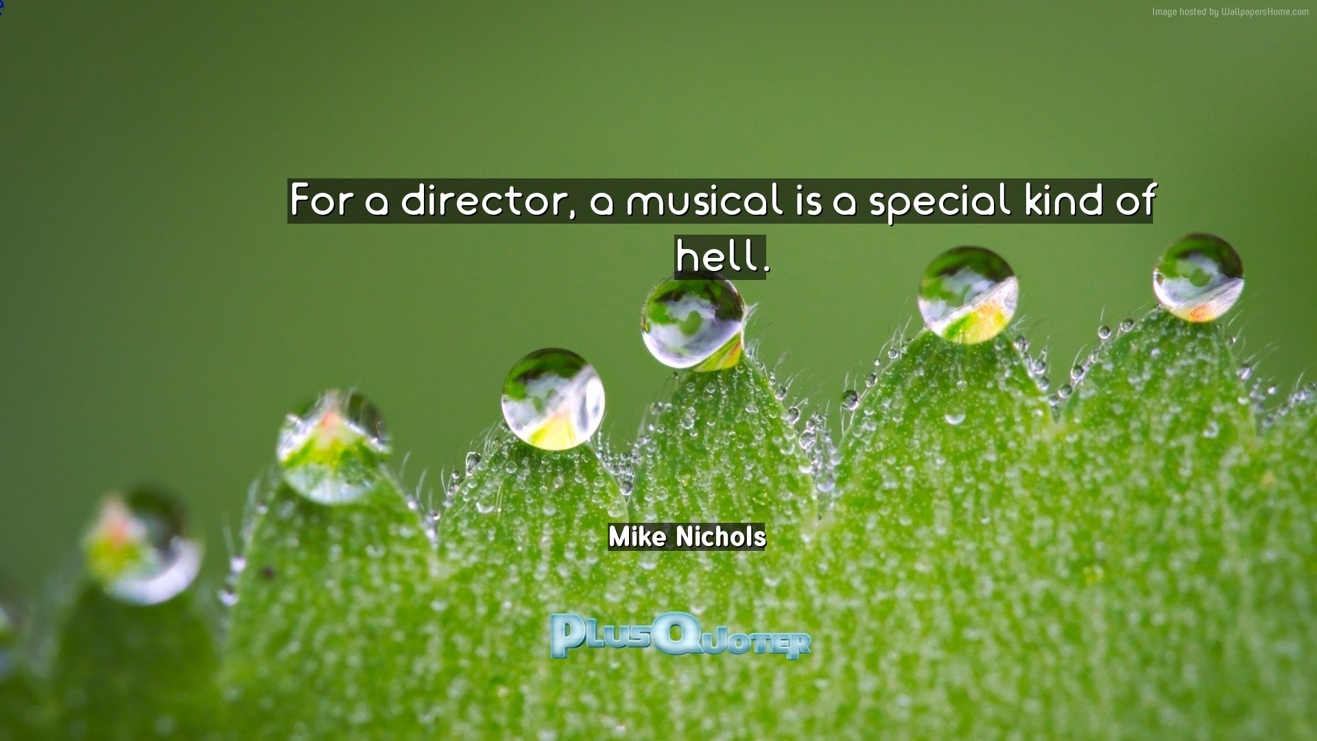 1920x1080 Download Wallpaper with inspirational Quotes- "For a director, a musical is  a special