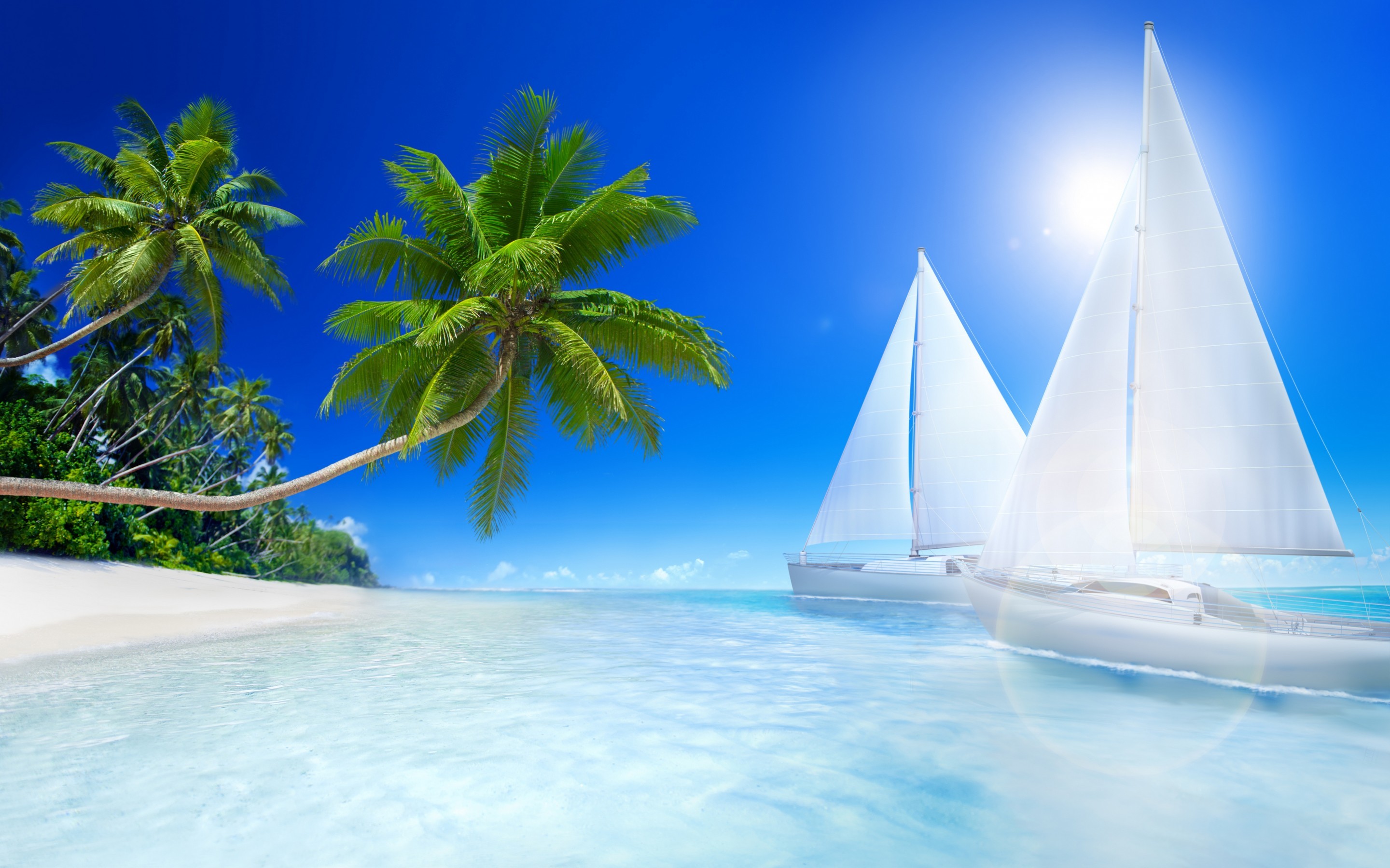 2880x1800 Download tropical beach wallpaper & Background Free - Images, Photos, Pics
