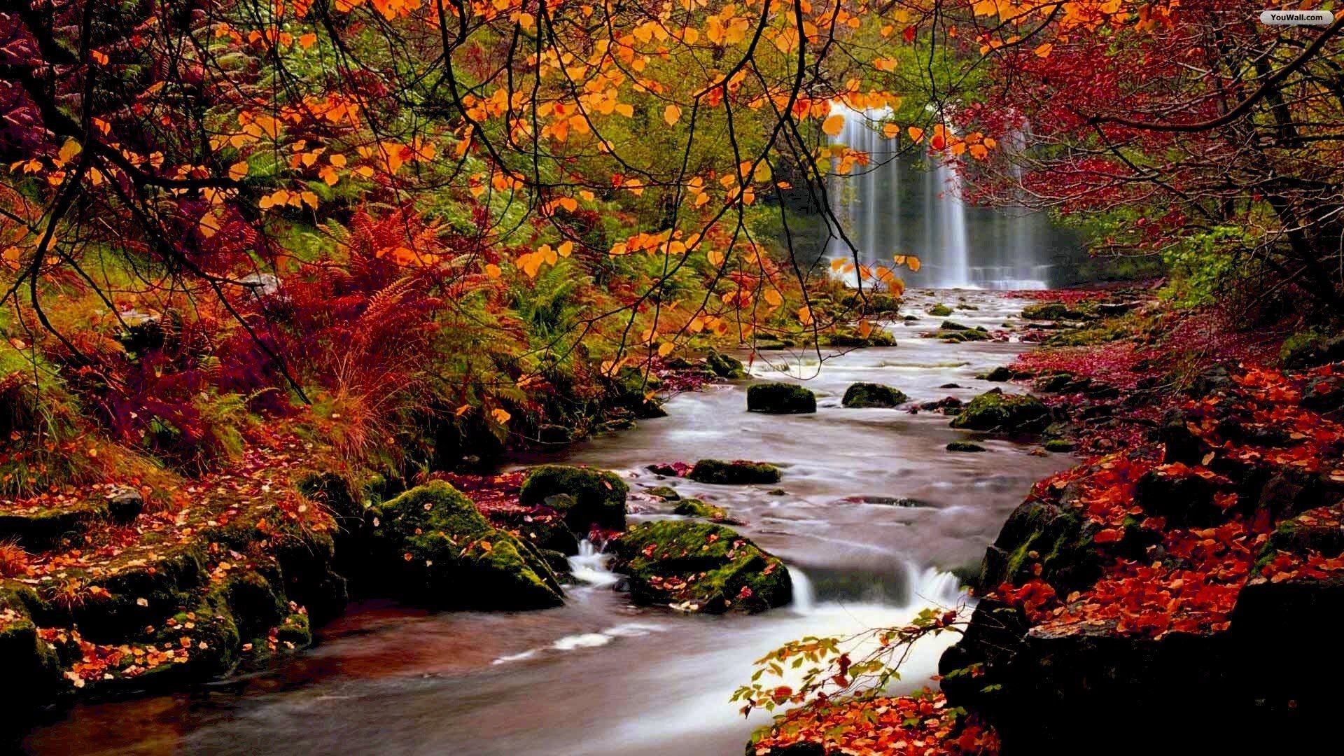 1920x1080 Fall images | YouWall - Autumn Forest Waterfall Wallpaper - wallpaper, wallpapers .