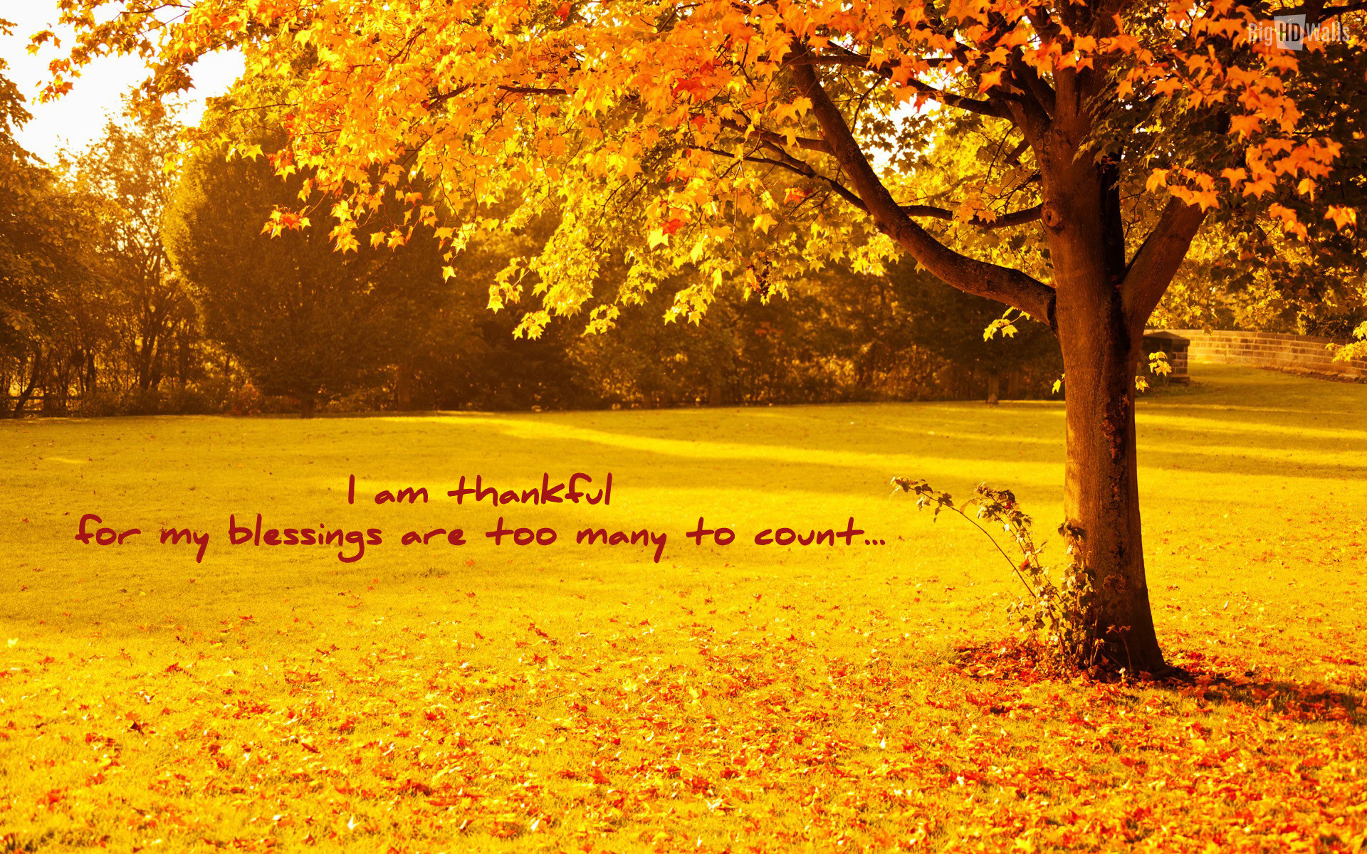 1920x1200 ... Free Download HD Thanksgiving Wallpaper | PowerPoint E-learning Center  ...