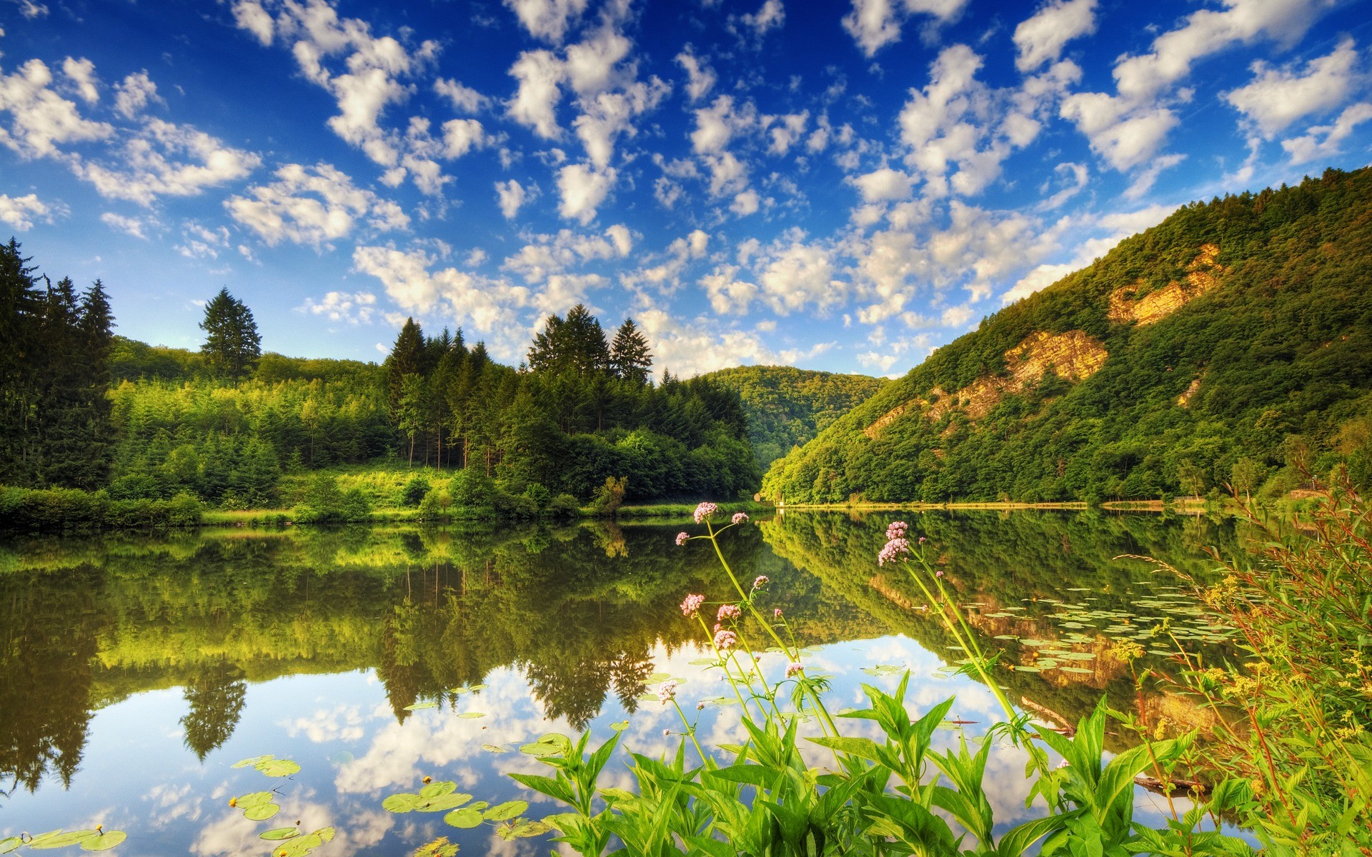 1920x1200 Collection of hd beautiful nature wallpapers on Wall-Papers.info