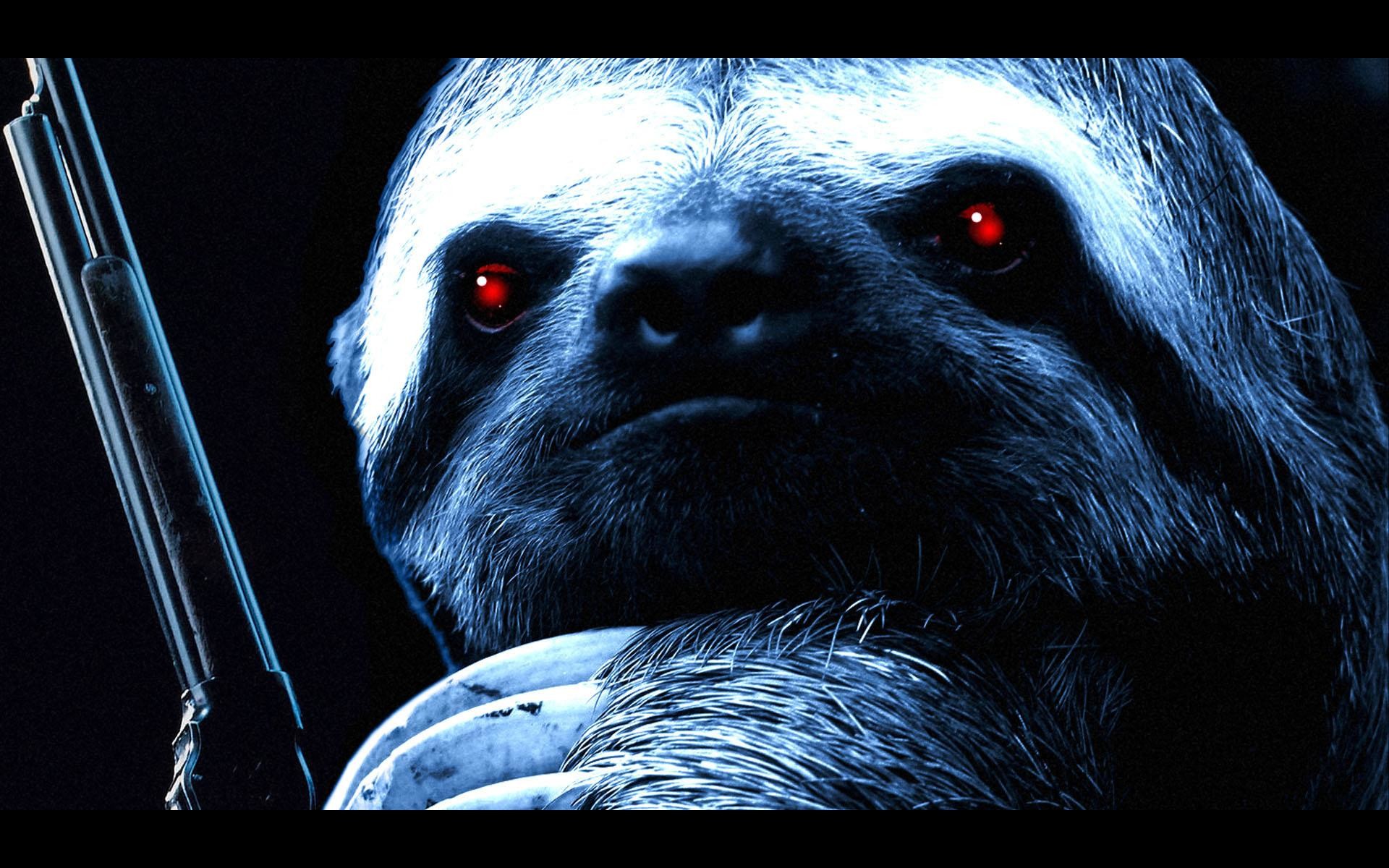 1920x1200 Sloth full hd