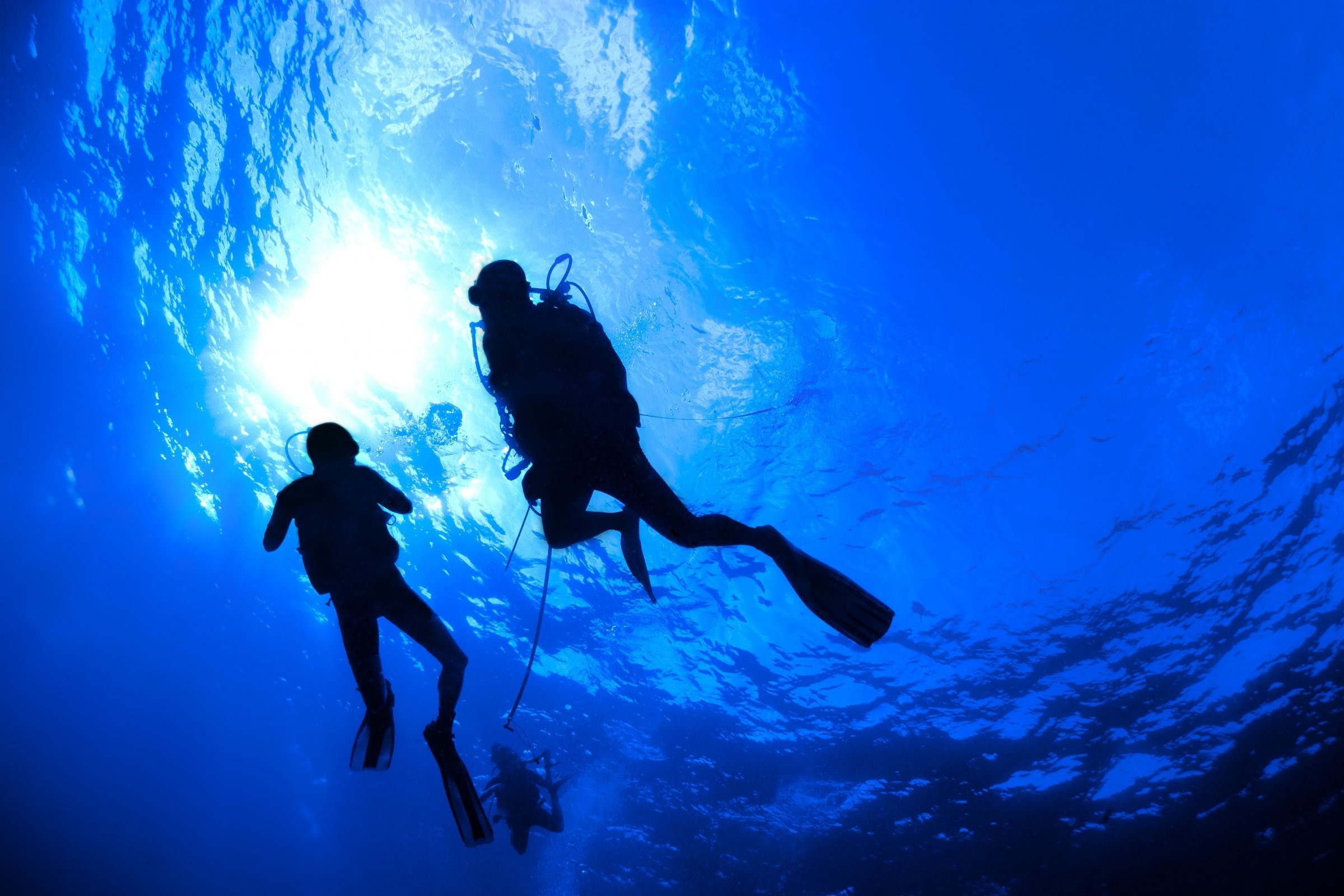 2400x1600 Scuba diving diver ocean sea underwater wallpaper |  | 332477 |  WallpaperUP