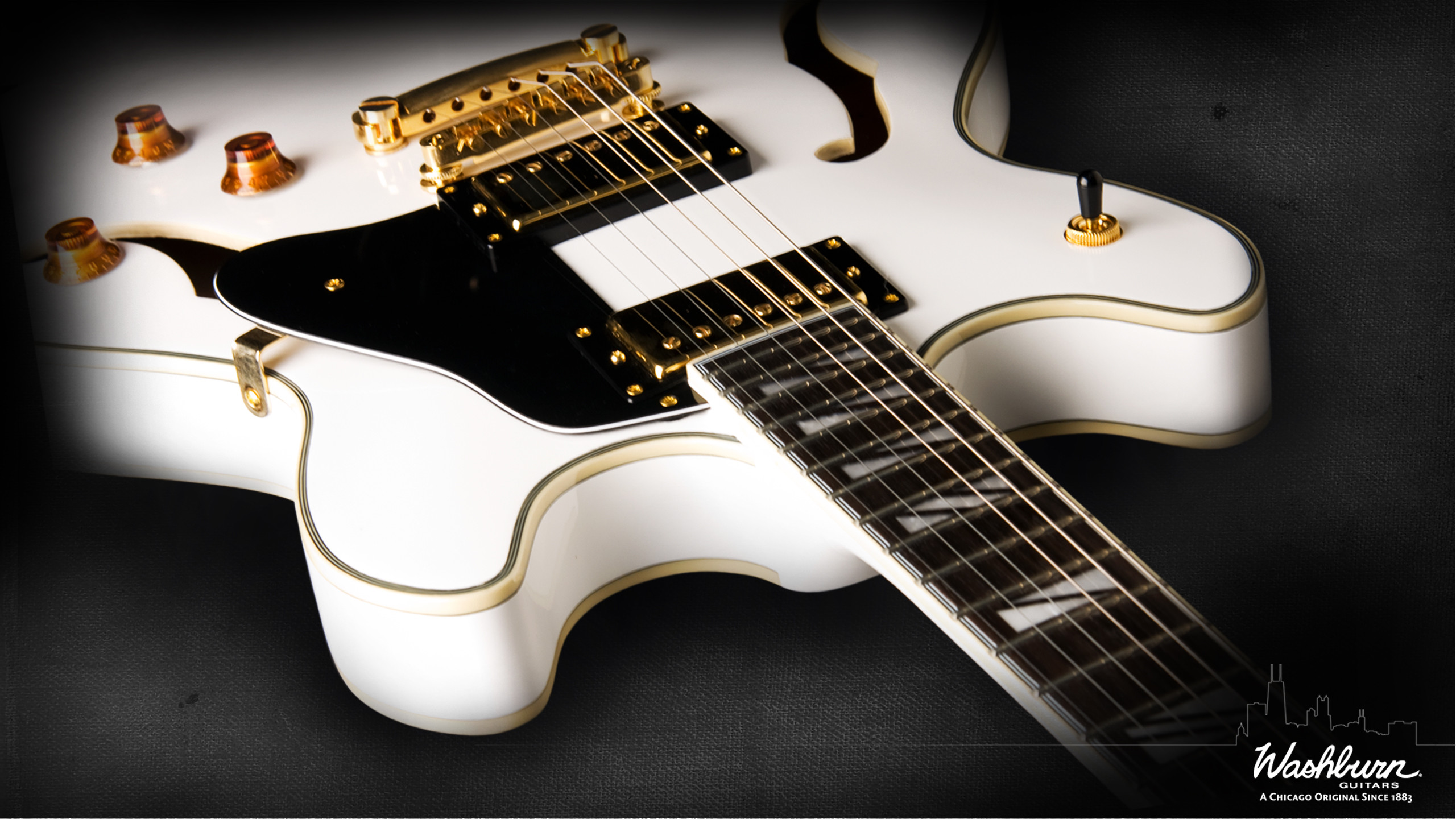 2560x1440 Washburn Guitars Wallpaper
