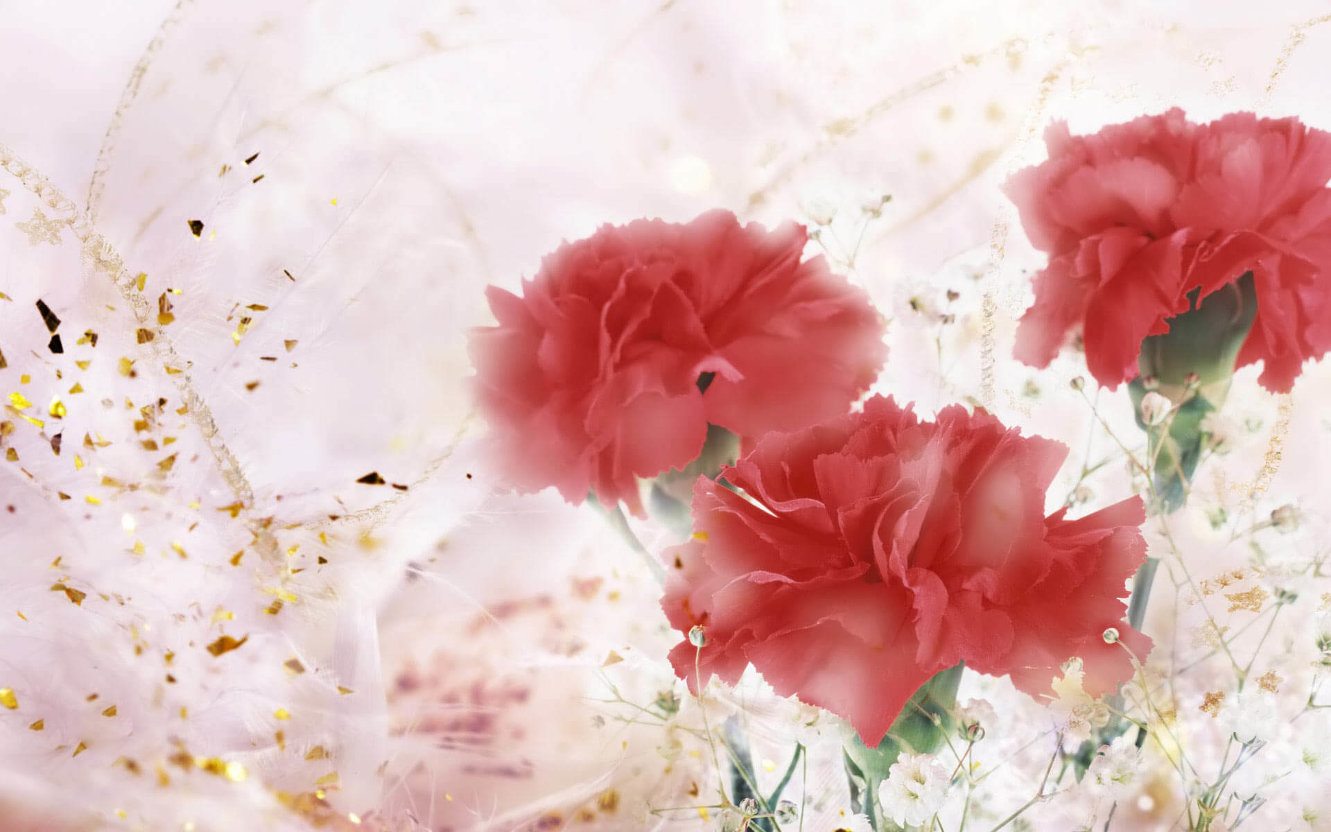 1920x1200 ... Gifts-Flowers-Valentine-desktop-backgrounds ...