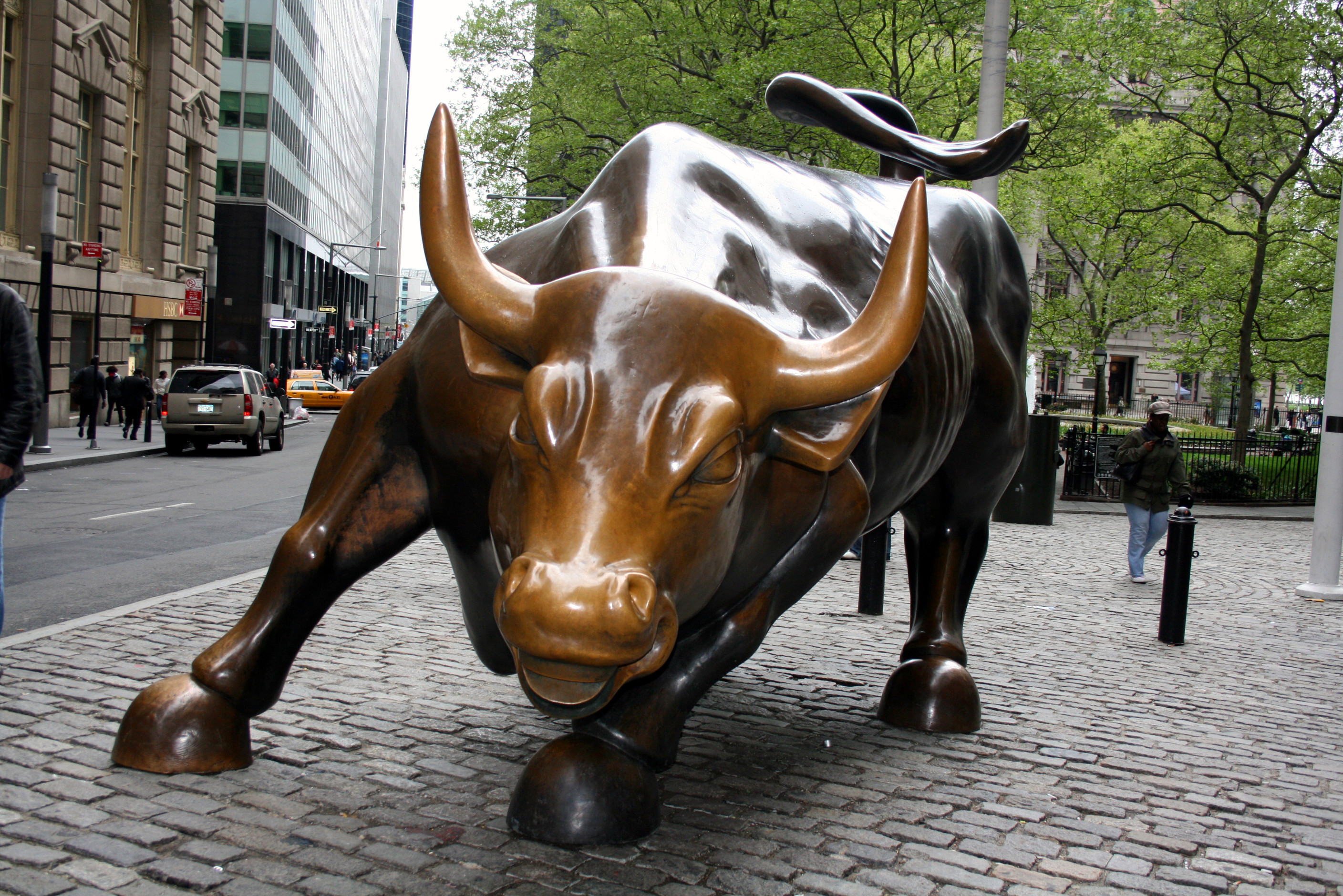 2816x1880 bull by charly stagg; wallstreet ...