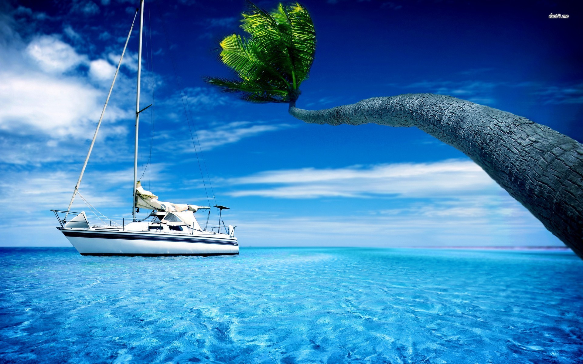 1920x1200 palm tree and boat