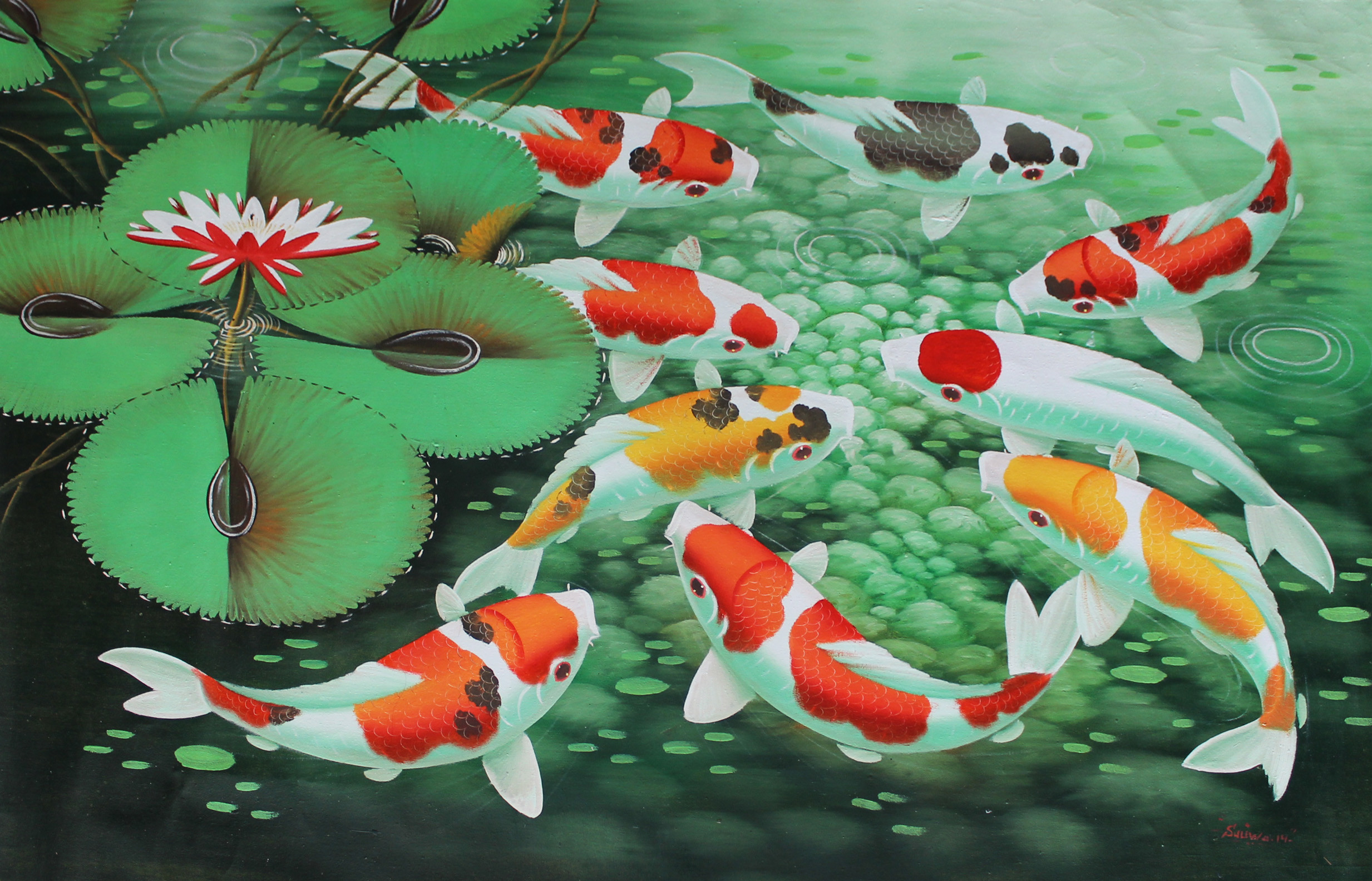 2466x1584 Koi Fish Wallpapers - Wallpaper Cave Koi Live Wallpaper for PC -  WallpaperSafari ...