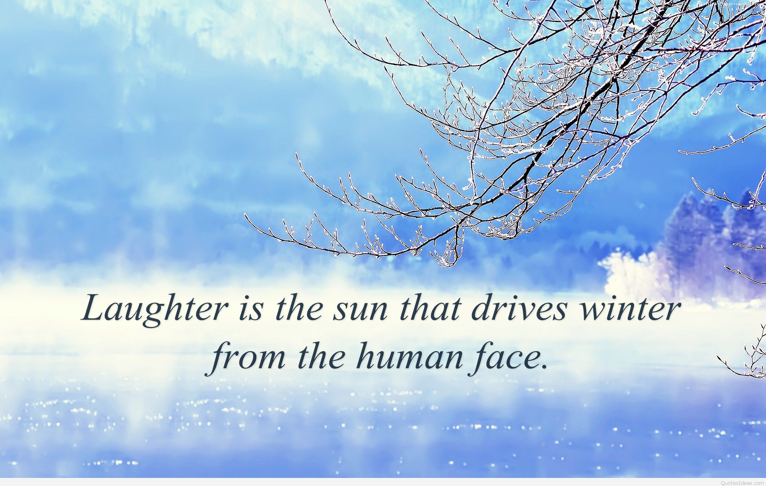 2560x1627 Funny Winter quotes, sayings and backgrounds 2015 2016 ...