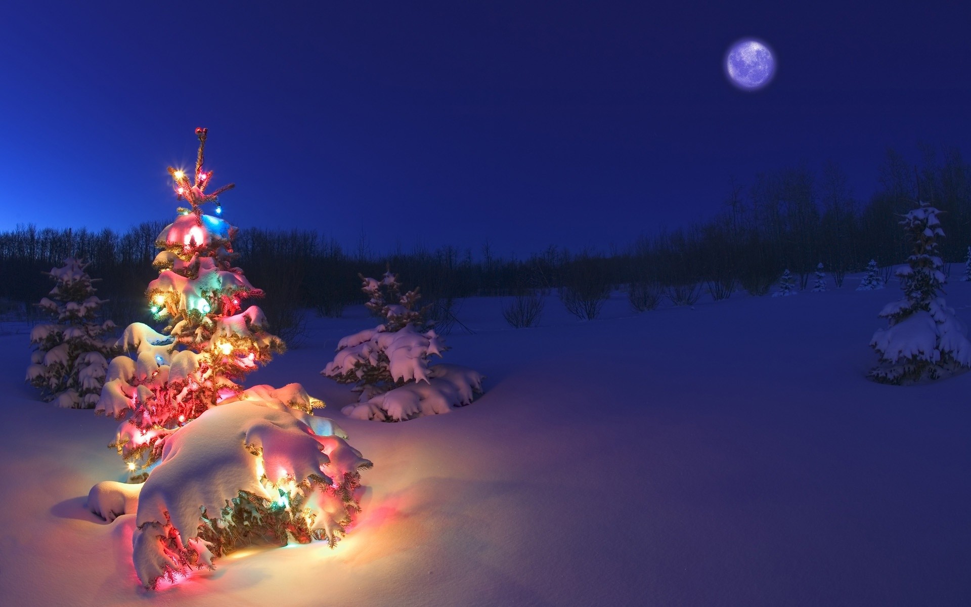1920x1200 Christmas Tree Lights Snow