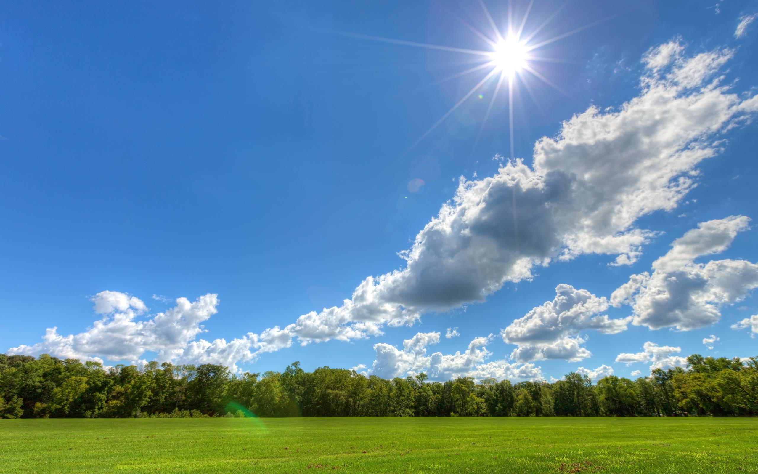2560x1600 Sunny day landscape Wallpapers | Pictures