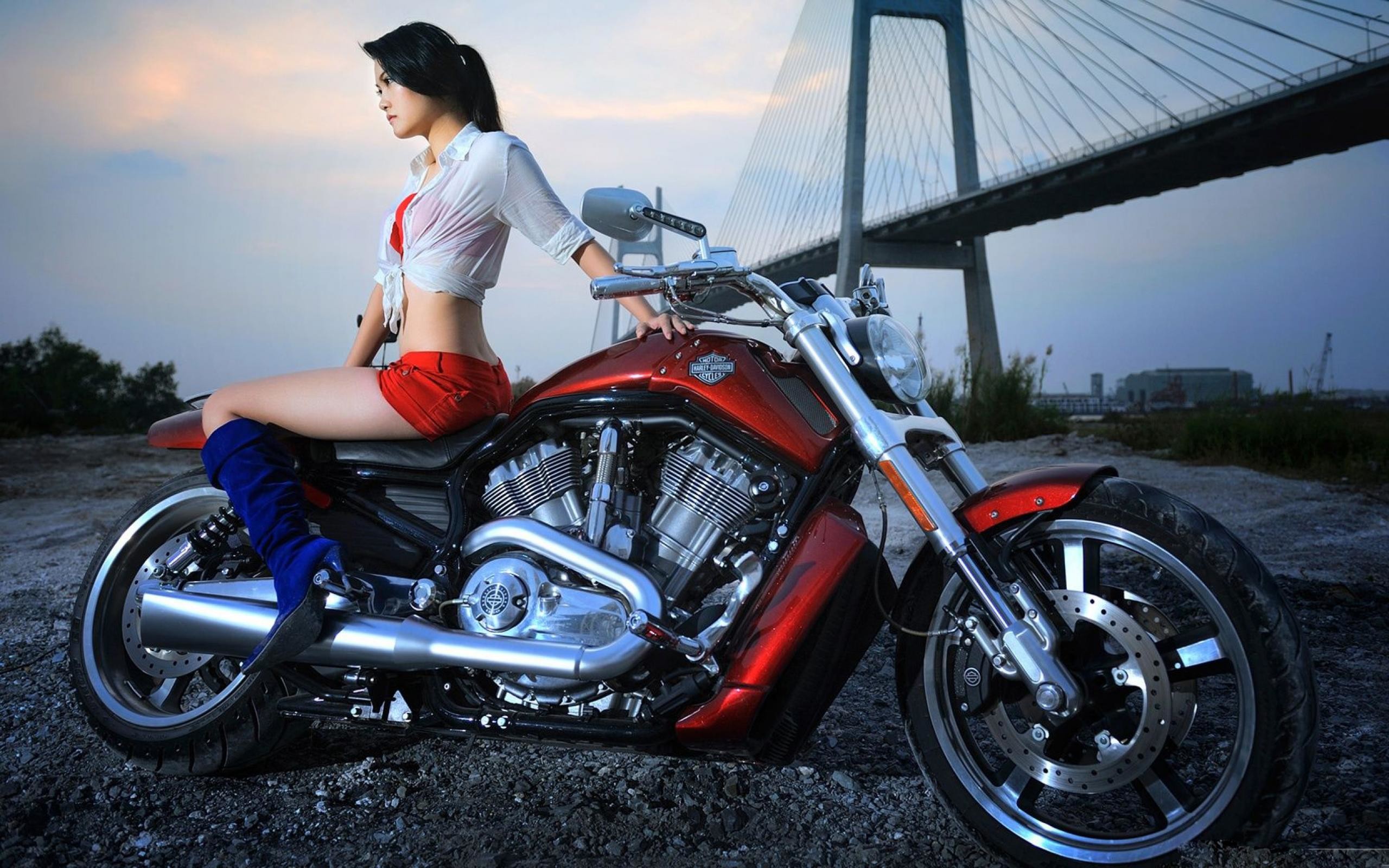 2560x1600 Download Wallpapers Sexy Girls Music Harley Davidson Motorcycles Best