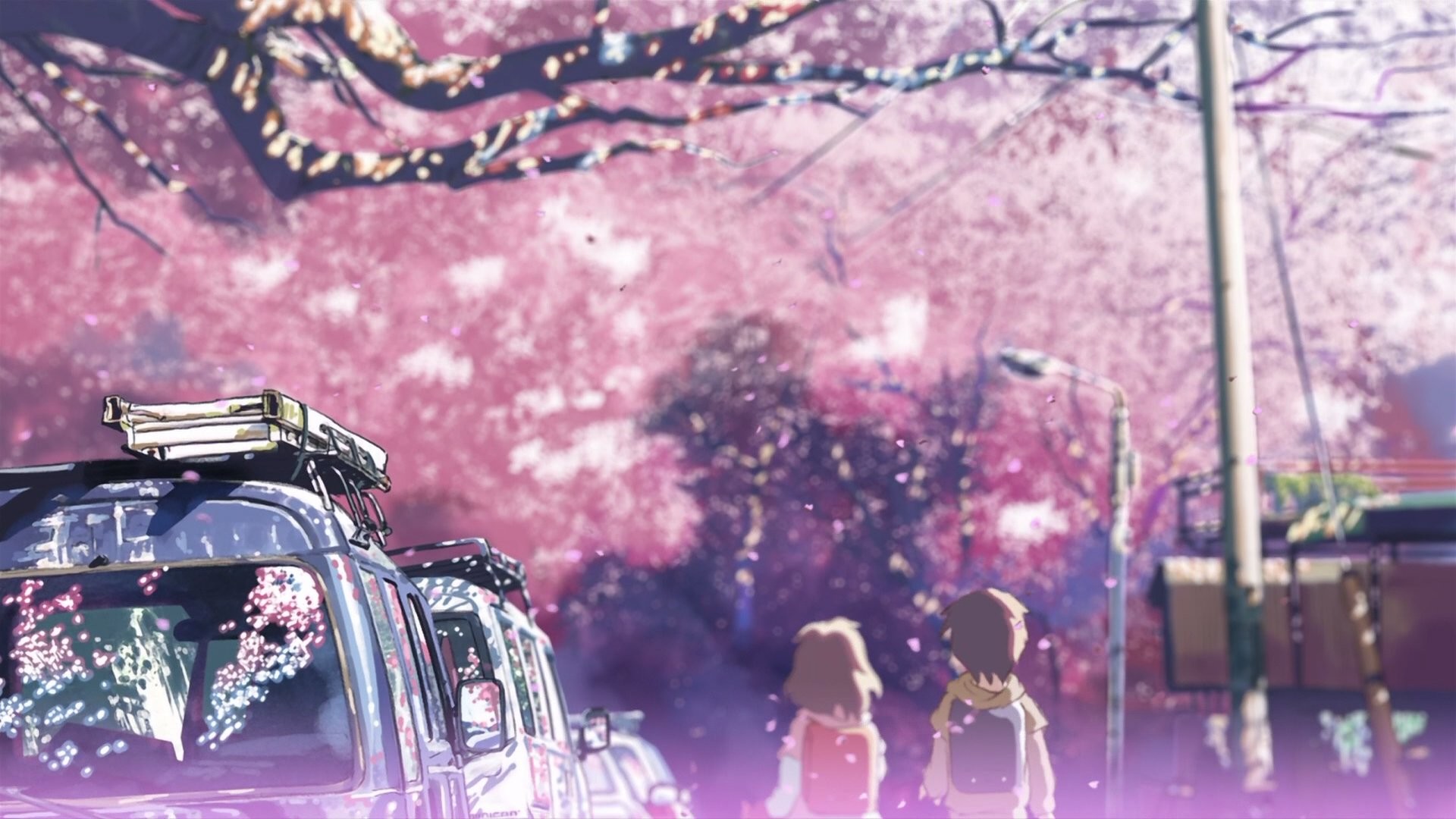 1920x1080 Cherry blossoms Makoto Shinkai 5 Centimeters Per Second wallpaper |   | 246734 | WallpaperUP
