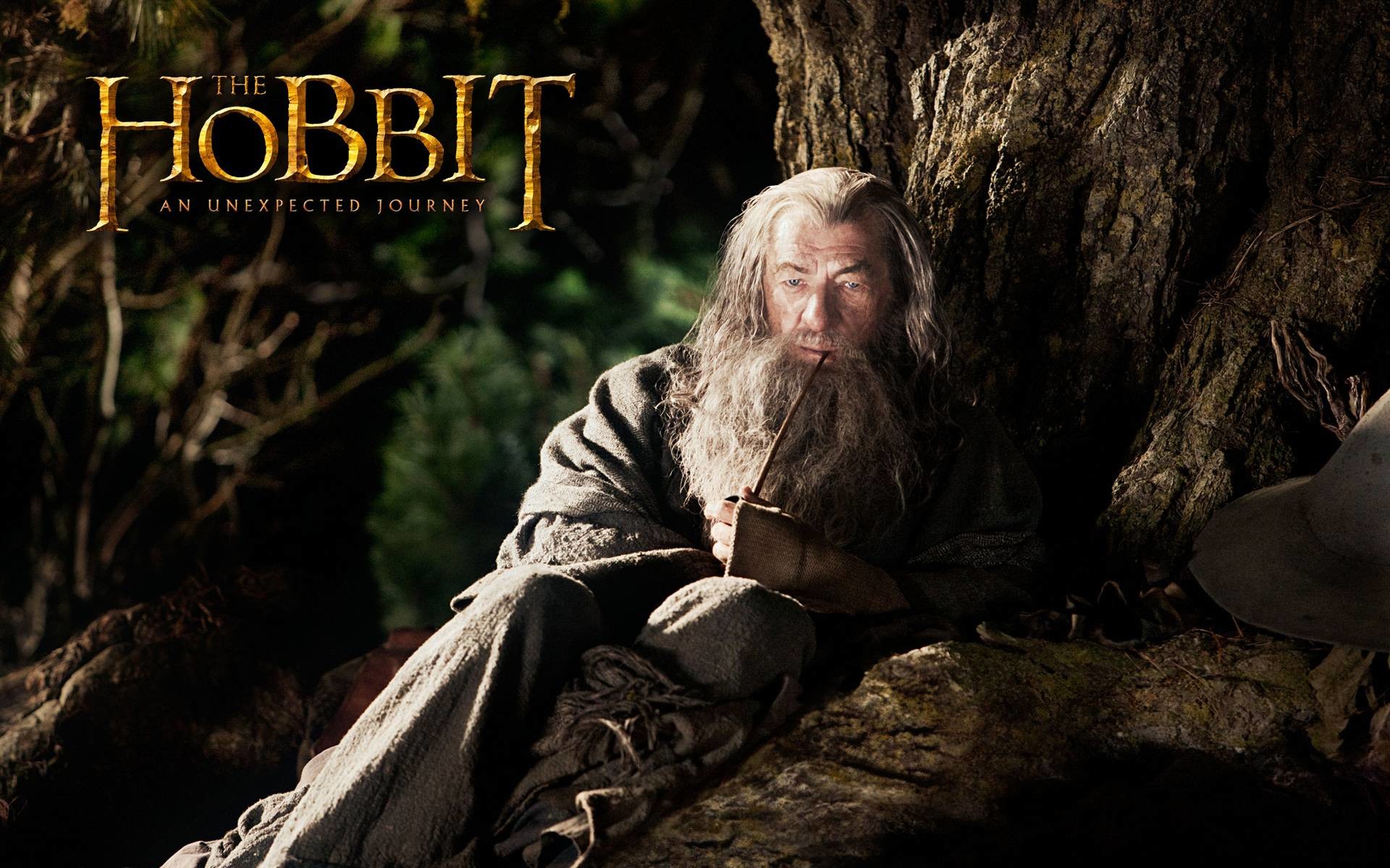 1920x1200 18 The Hobbit An Unexpected Journey Wallpapers