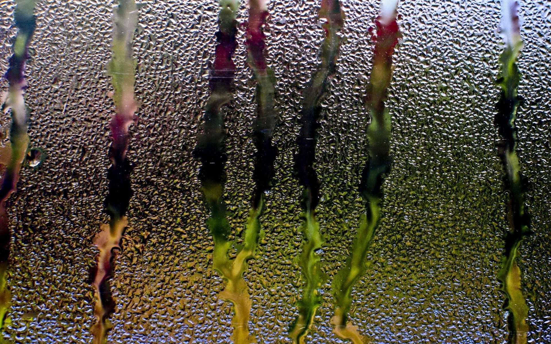 1920x1200 Rain Glass Window Water Drops Streams Background