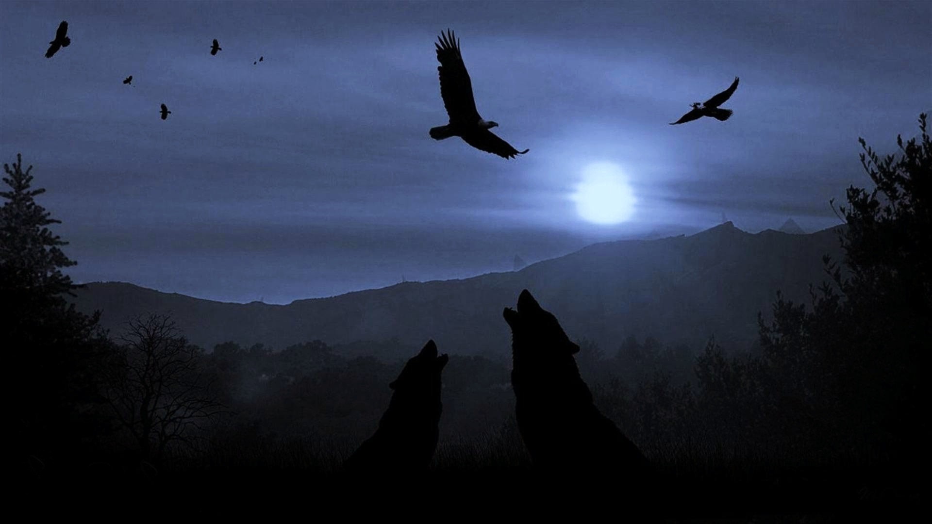 1920x1080 Wallpapers Wolf Moon Best .4 
