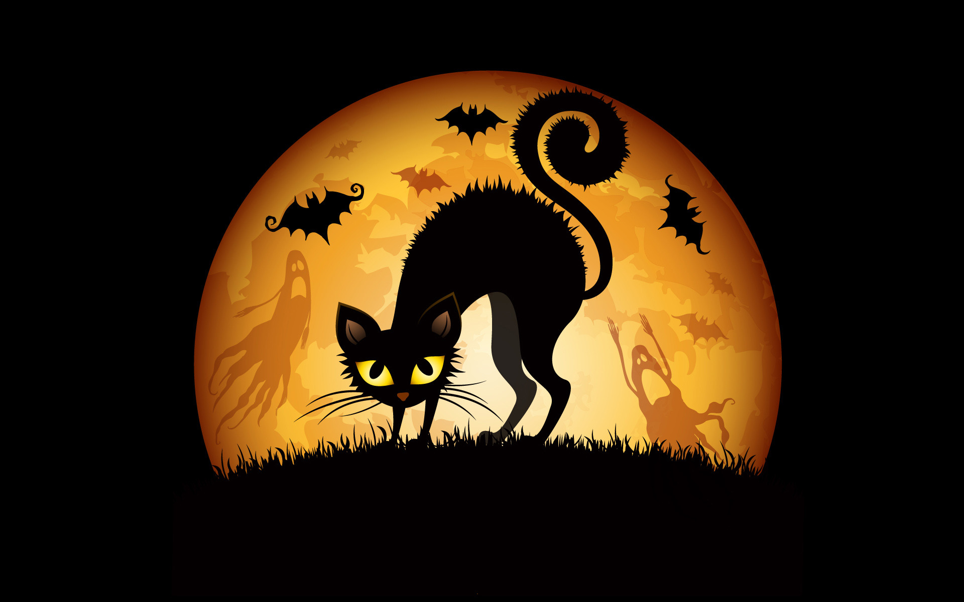 1920x1200 Halloween Cat Desktop Background