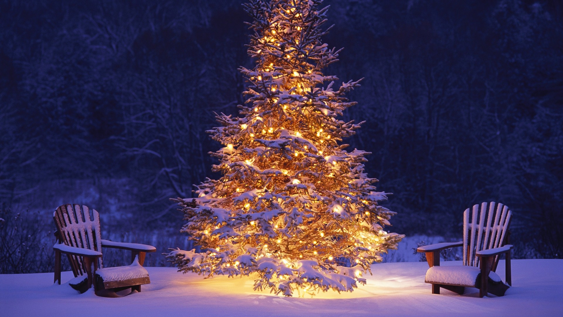 1920x1080 merry christmas wallpapers tree hd A4