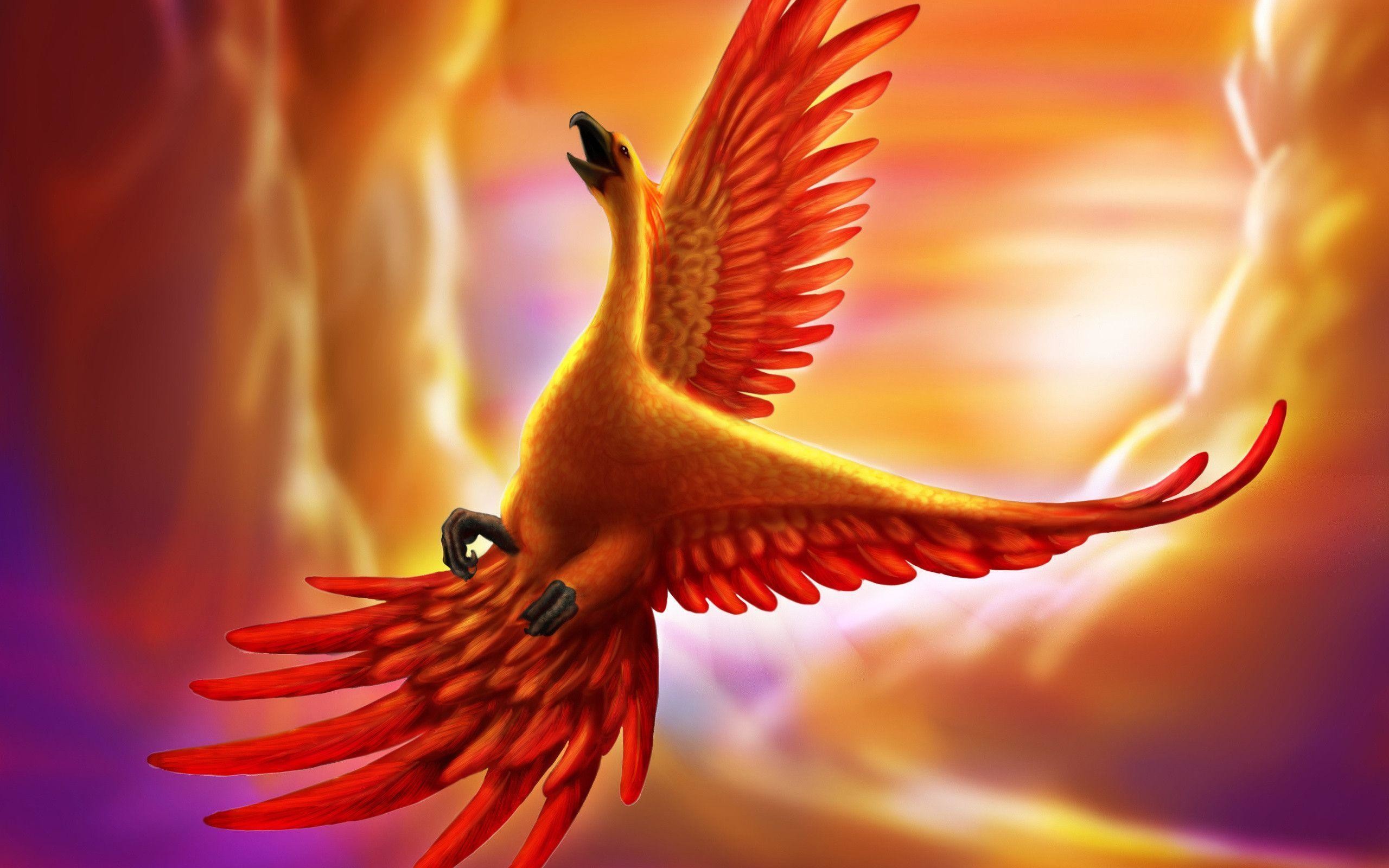2560x1600 phoenix-bird-wallpaper-1 - Funky Fevar