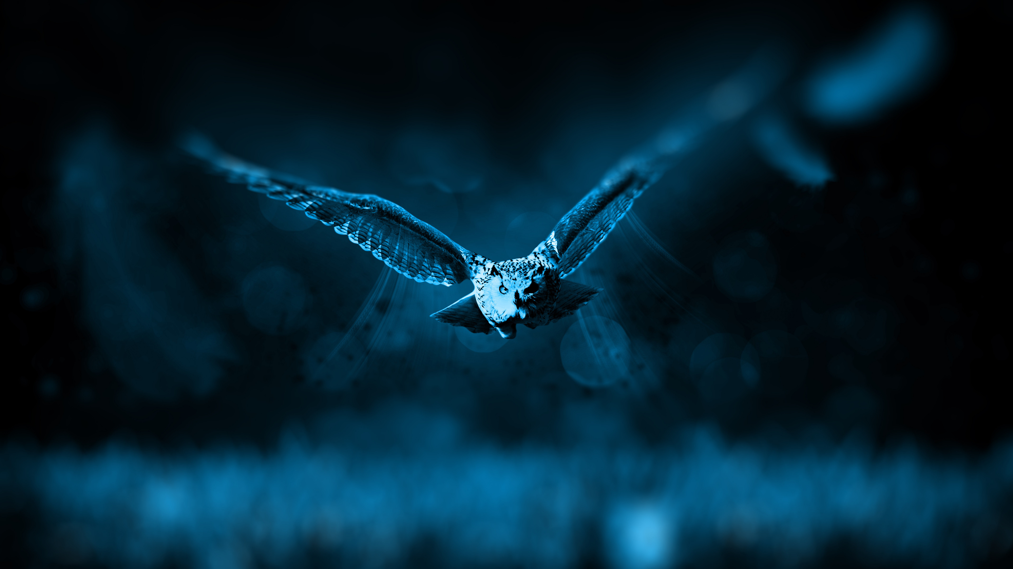 3840x2160 Preview wallpaper owl, flight, bird, photoshop, predator 