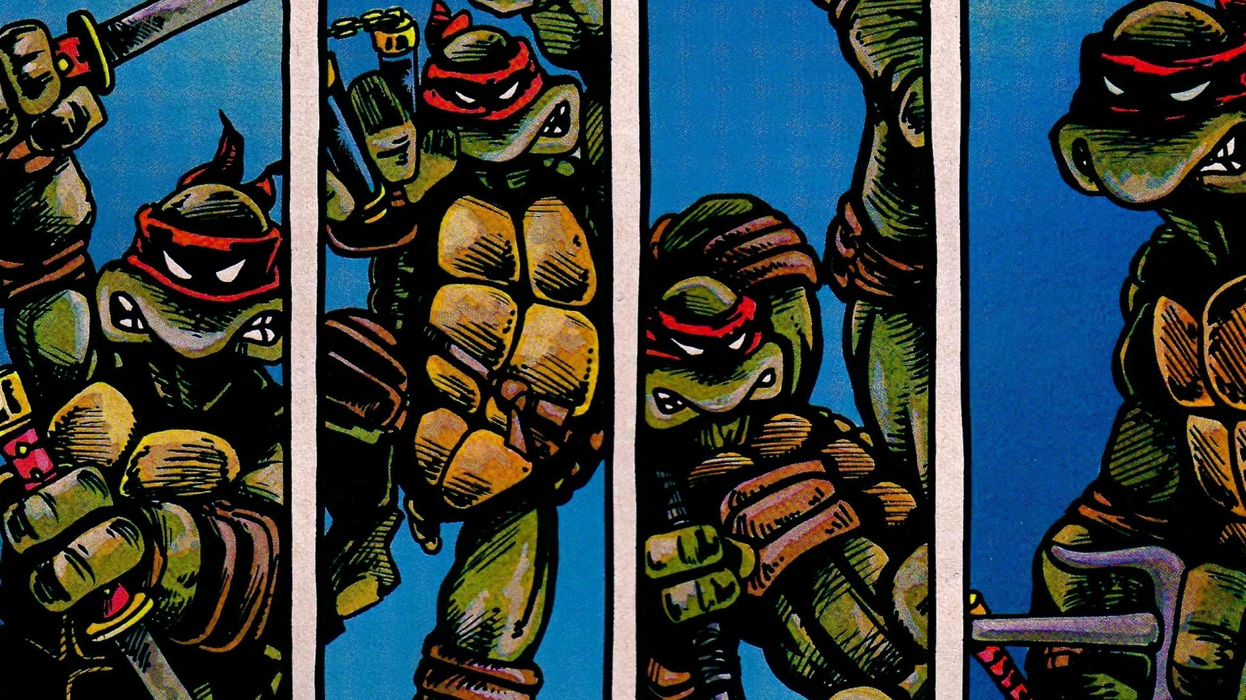 2560x1440 comics teenage mutant ninja turtles Wallpaper HD