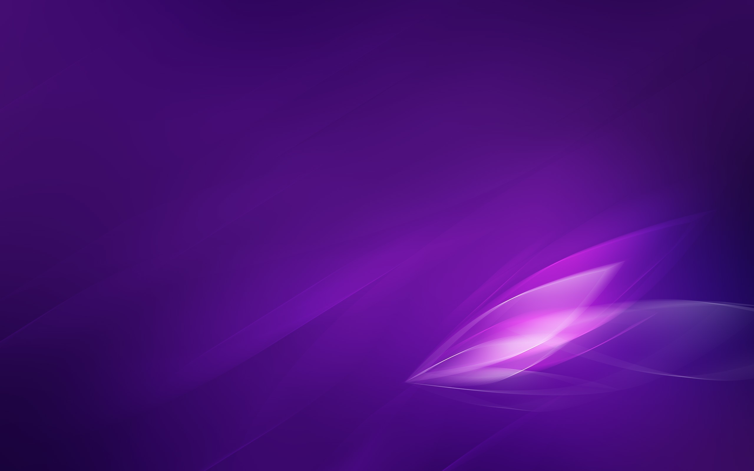 2560x1600 Violet Wallpaper 16145