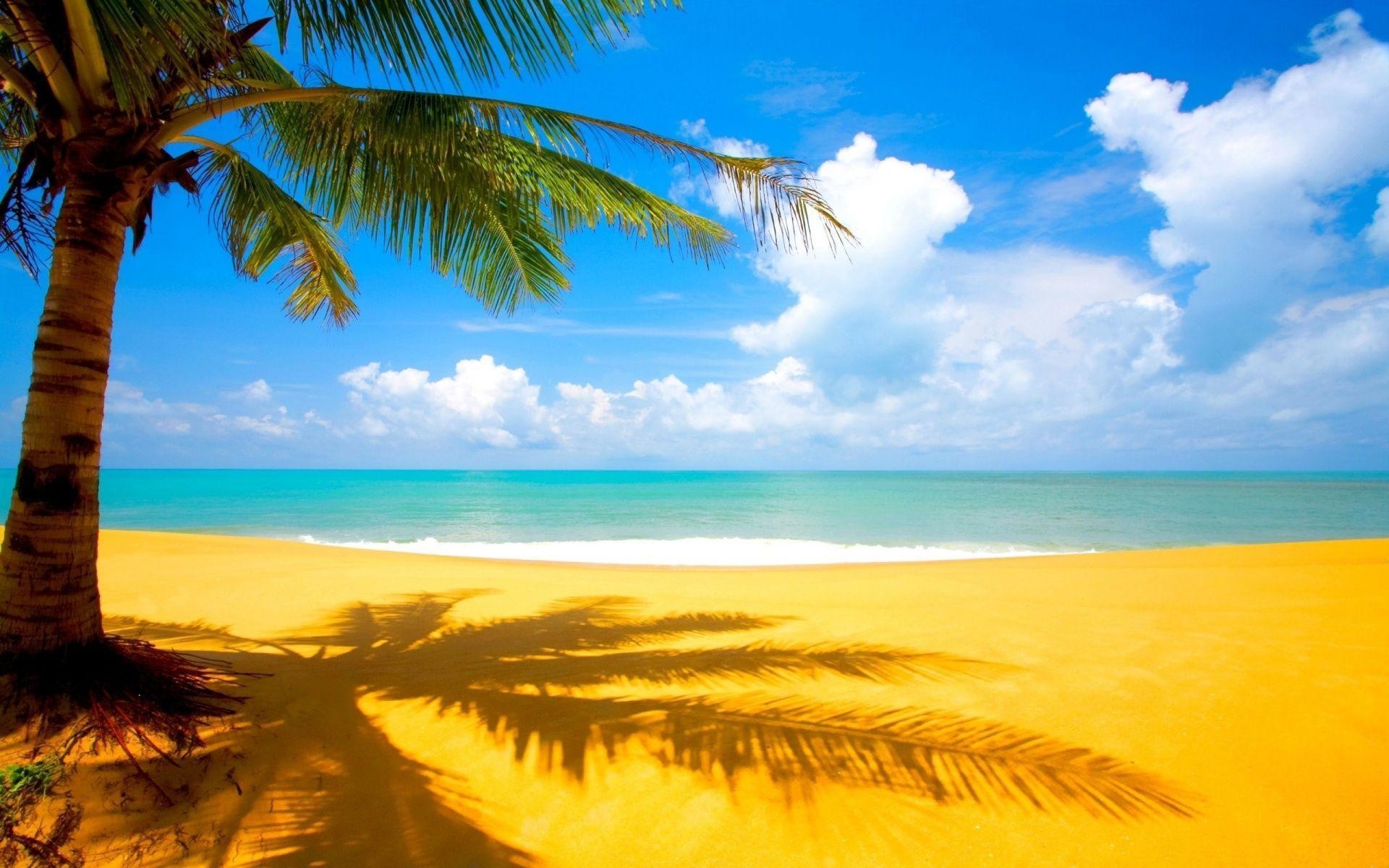 1920x1200 Hawaii Beach Wallpapers - HD Images New