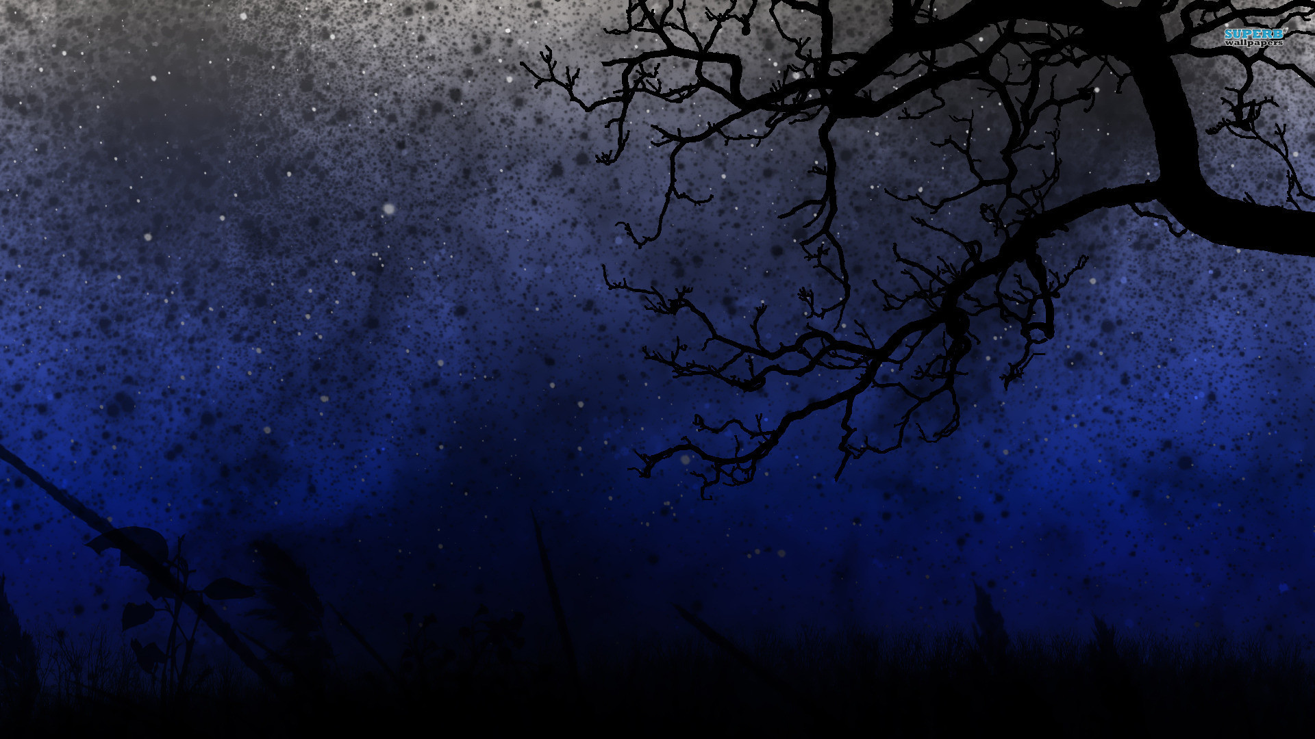 1920x1080 Nature, Night, Forest, The Starry Night, Sky Wallpaper in   Resolution