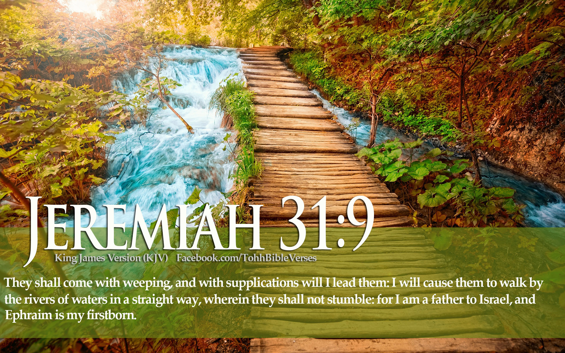 1920x1200 Bible-Verse-Love-Jeremiah-31-9-River-Landscape-