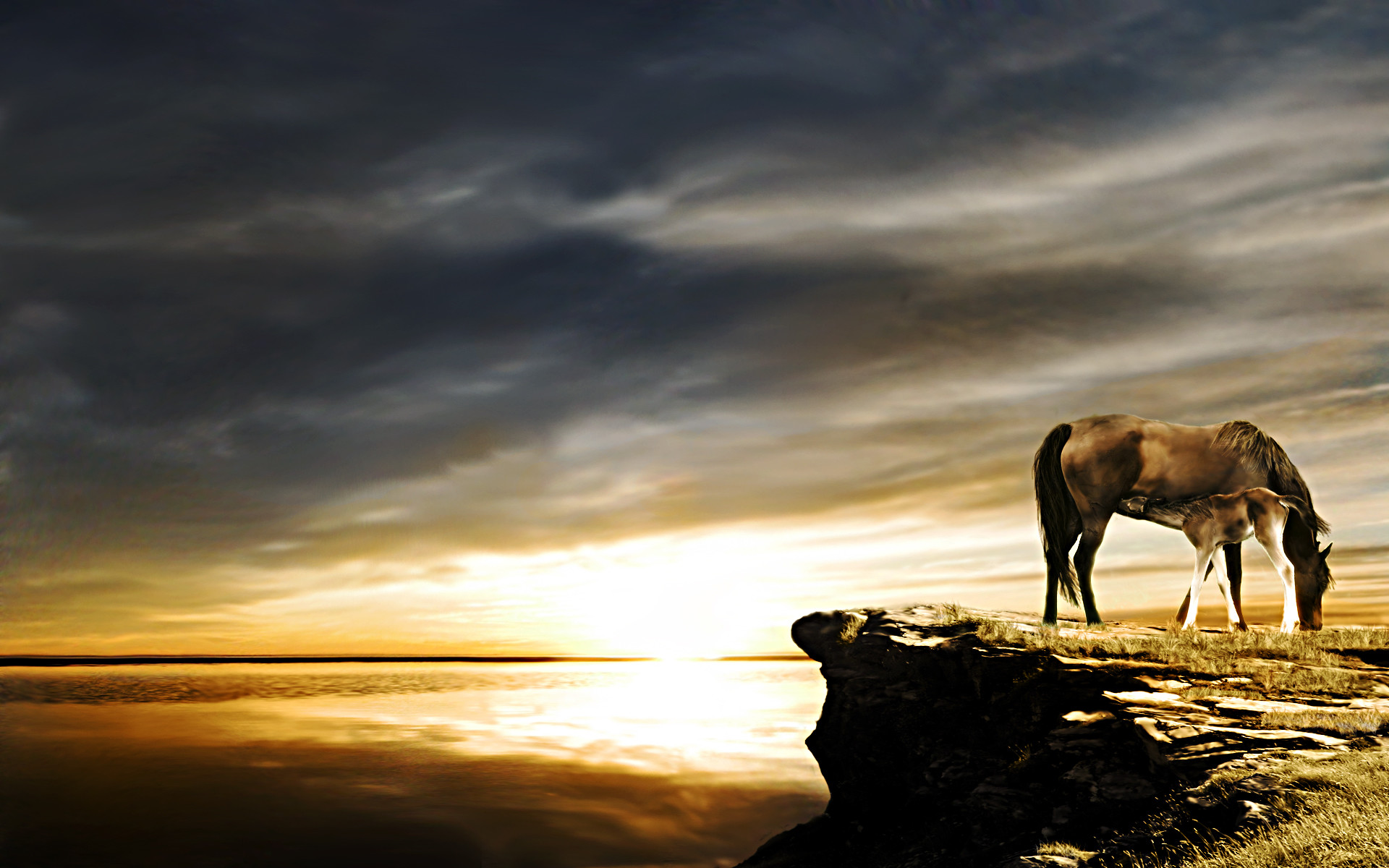 1920x1200 Pin Wild Horses Wallpaper In Desktop Backgrounds Category on 