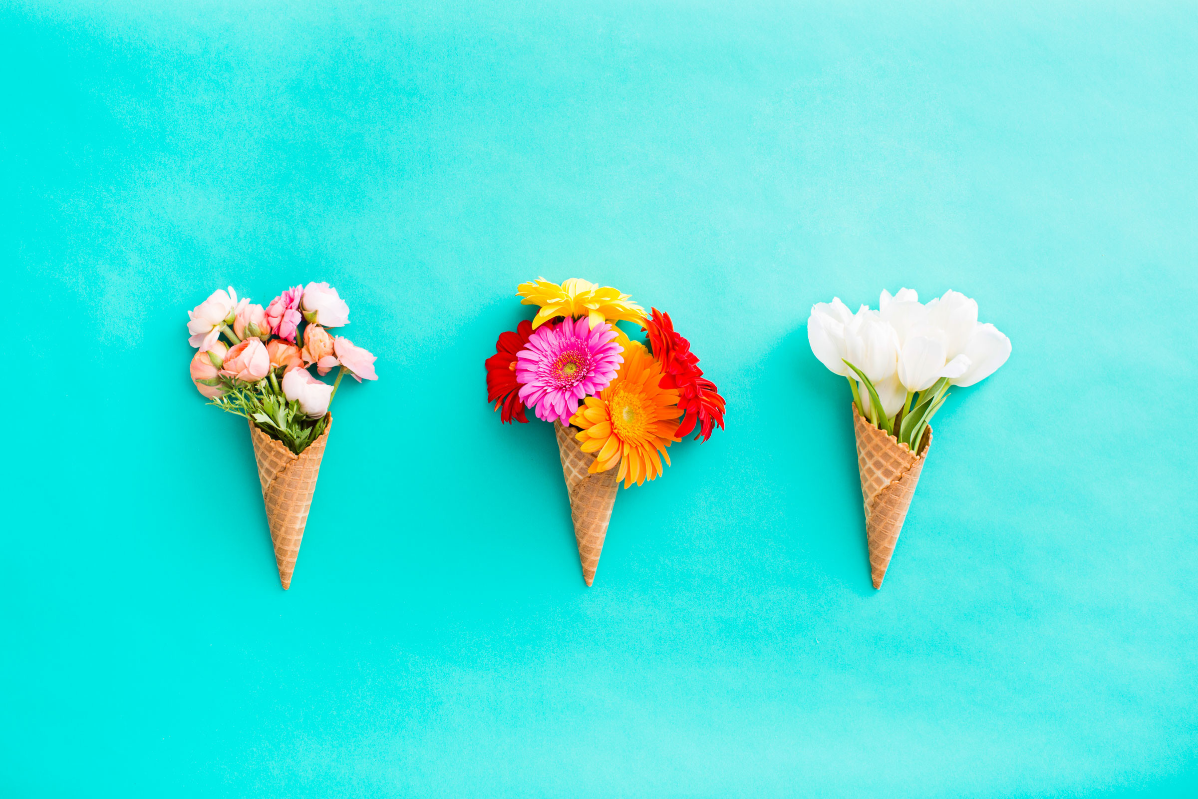 2400x1600 Download Floral Cones All In A Row