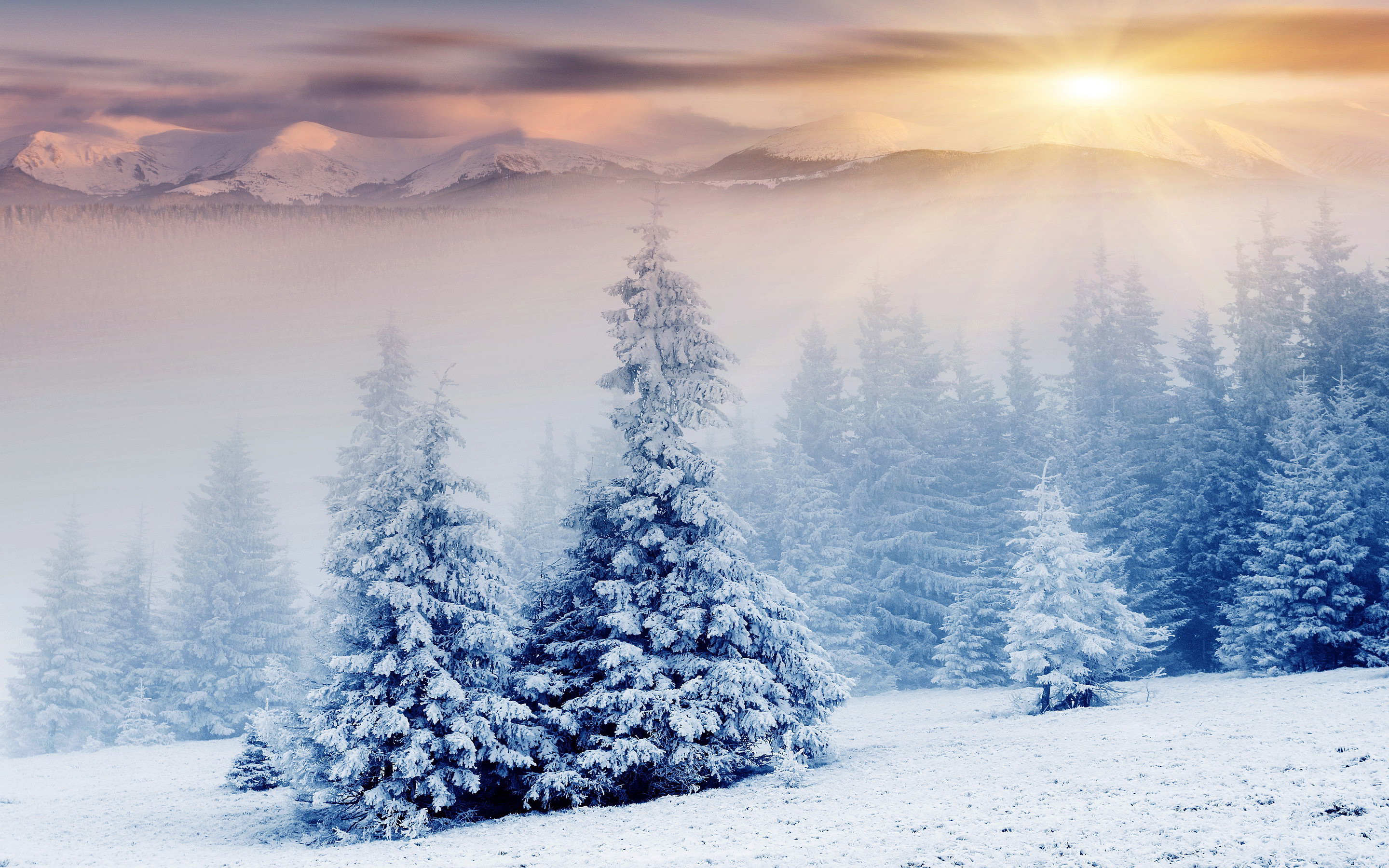 2880x1800 Snow Wallpapers ...